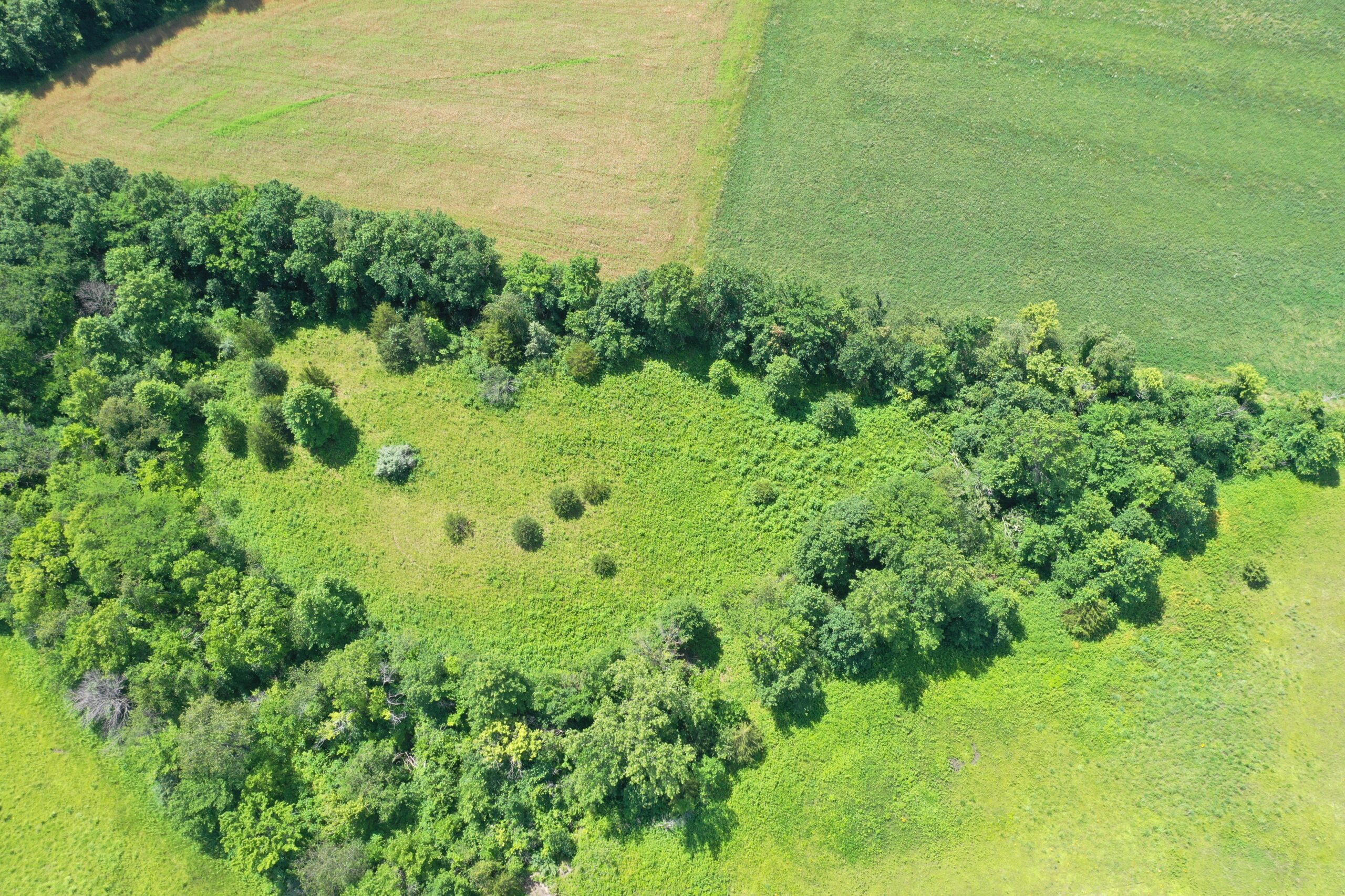 CRP & Hunting Farm For Sale – Grundy County, MO