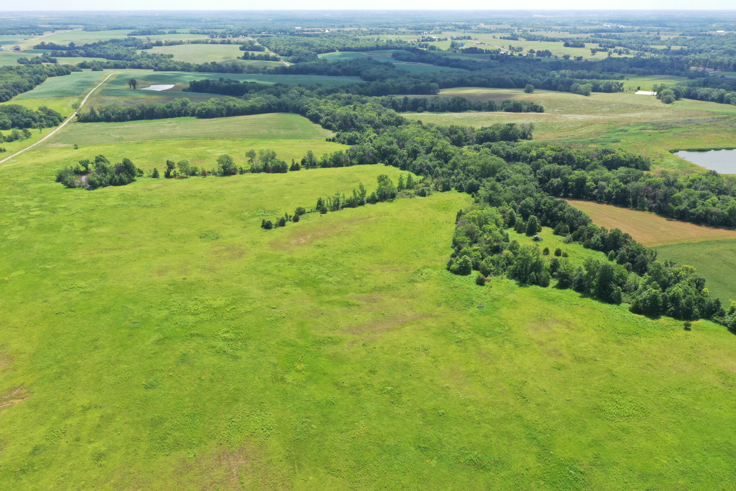 CRP & Hunting Farm For Sale – Grundy County, MO
