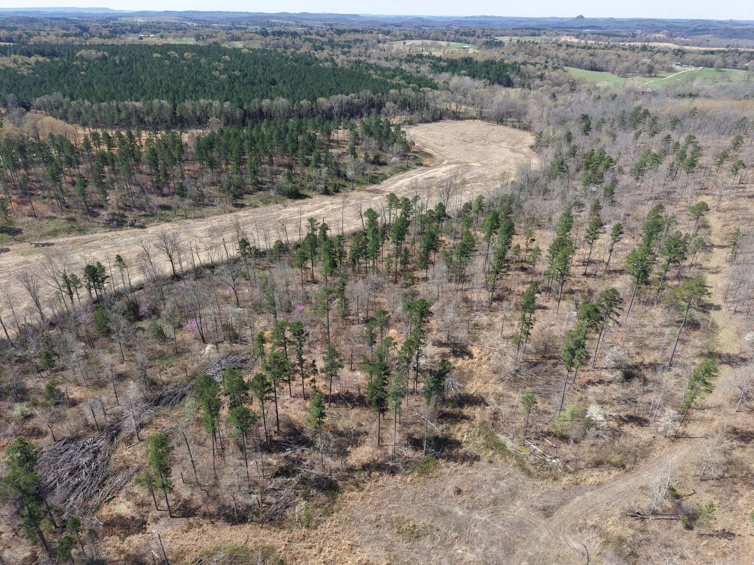 HUNTING AND RECREATIONAL LAND WITH CREEKSIDE CABIN