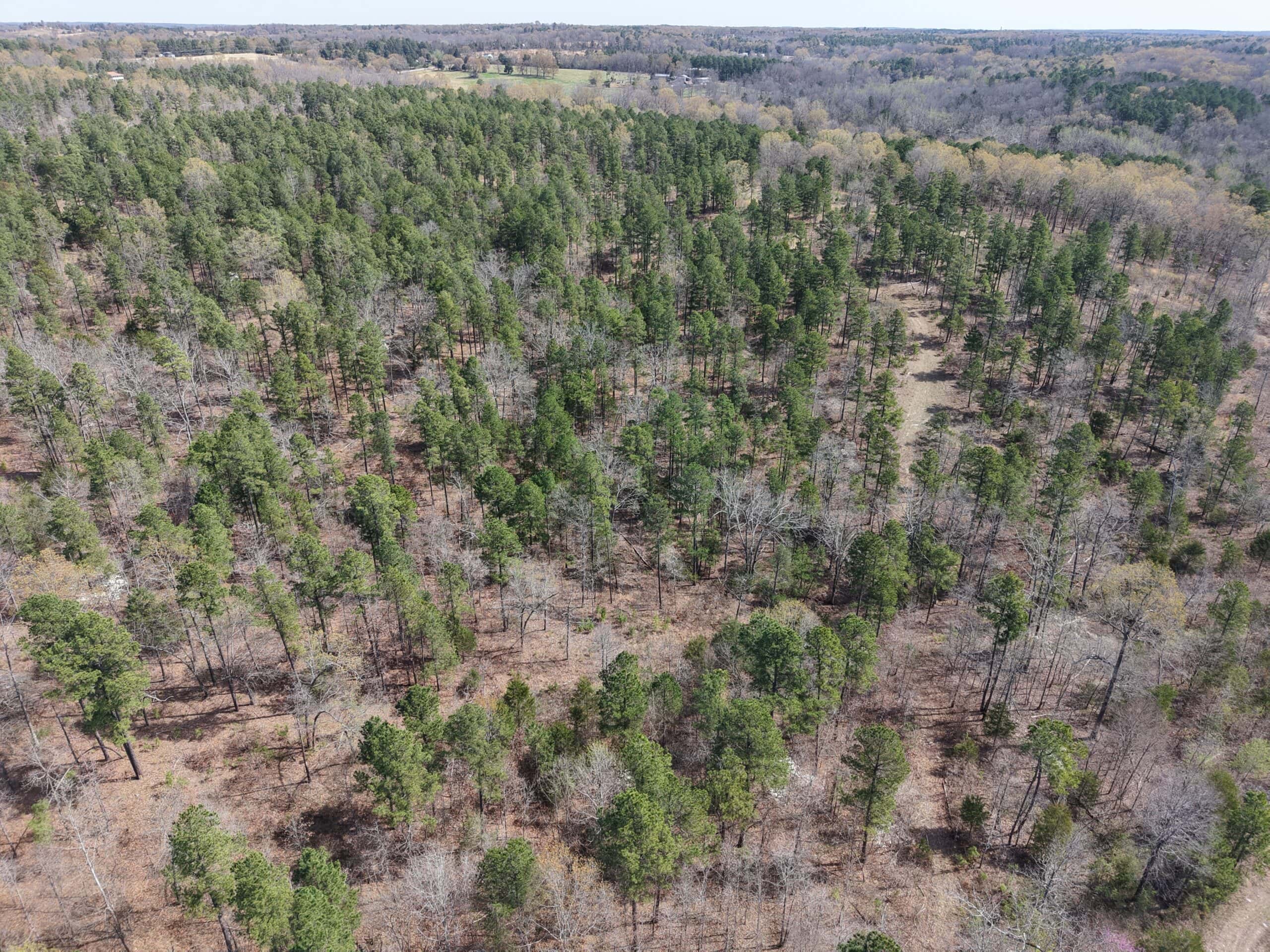 HUNTING AND RECREATIONAL LAND WITH CREEKSIDE CABIN