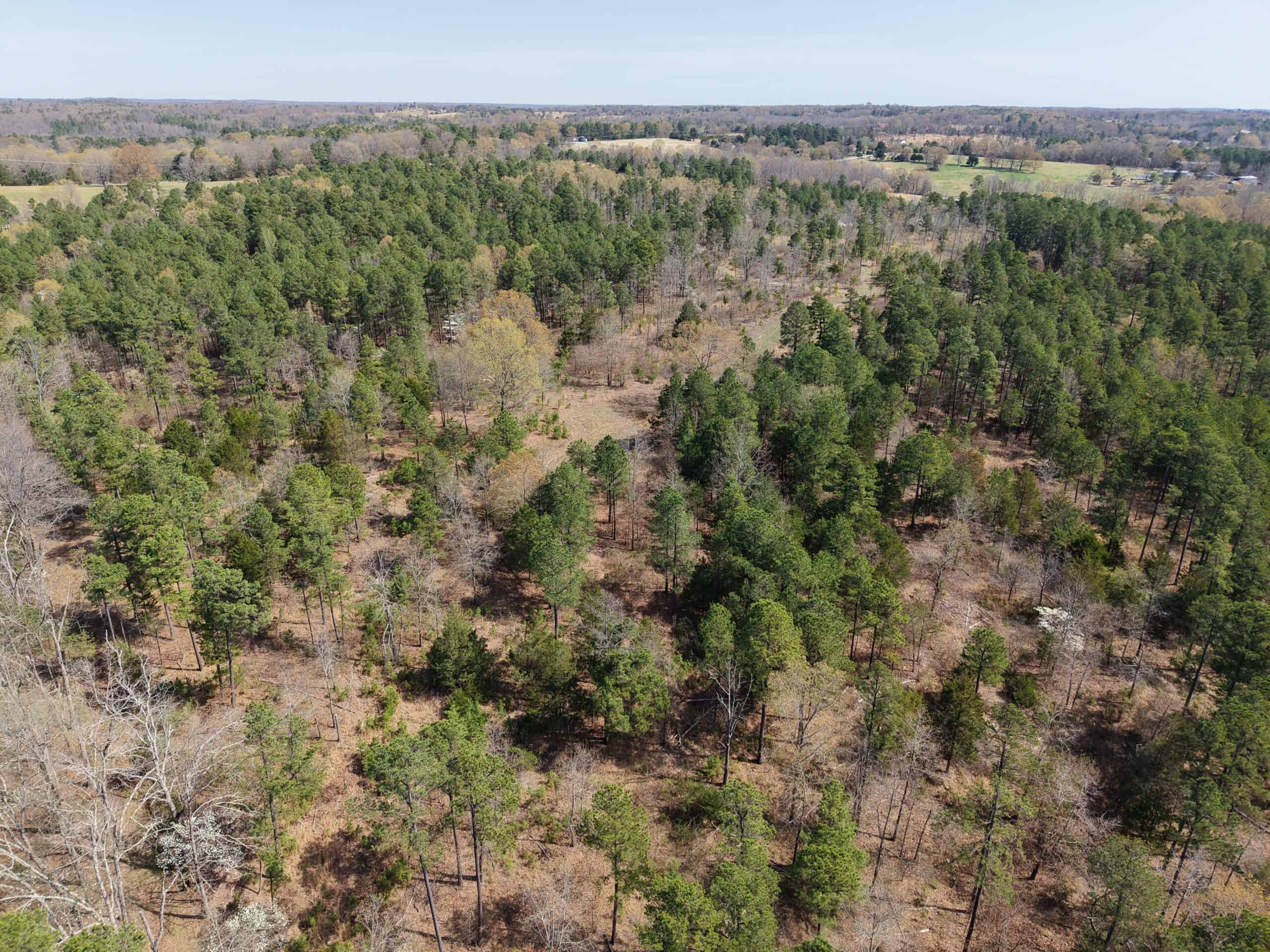 HUNTING AND RECREATIONAL LAND WITH CREEKSIDE CABIN