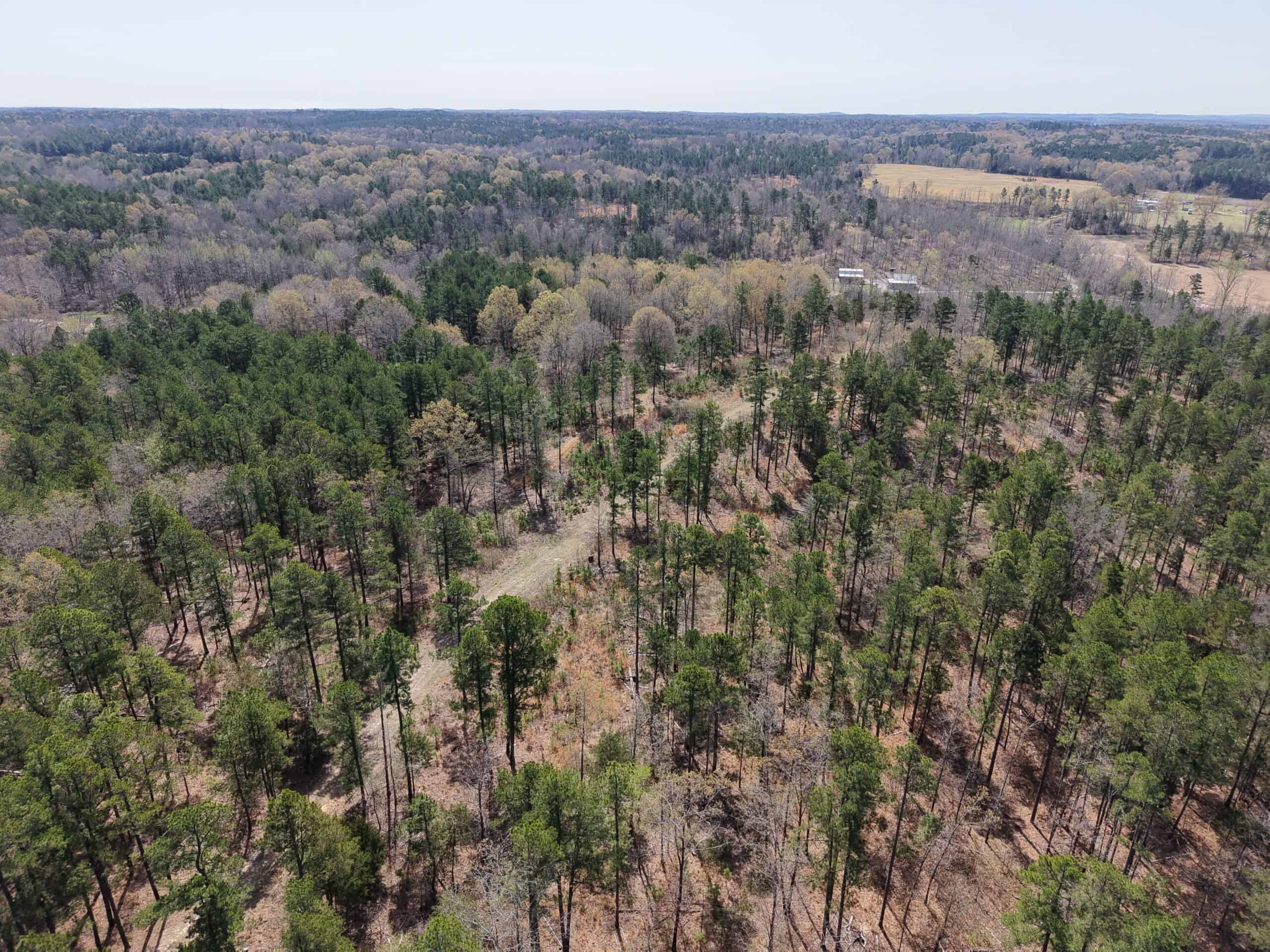 HUNTING AND RECREATIONAL LAND WITH CREEKSIDE CABIN