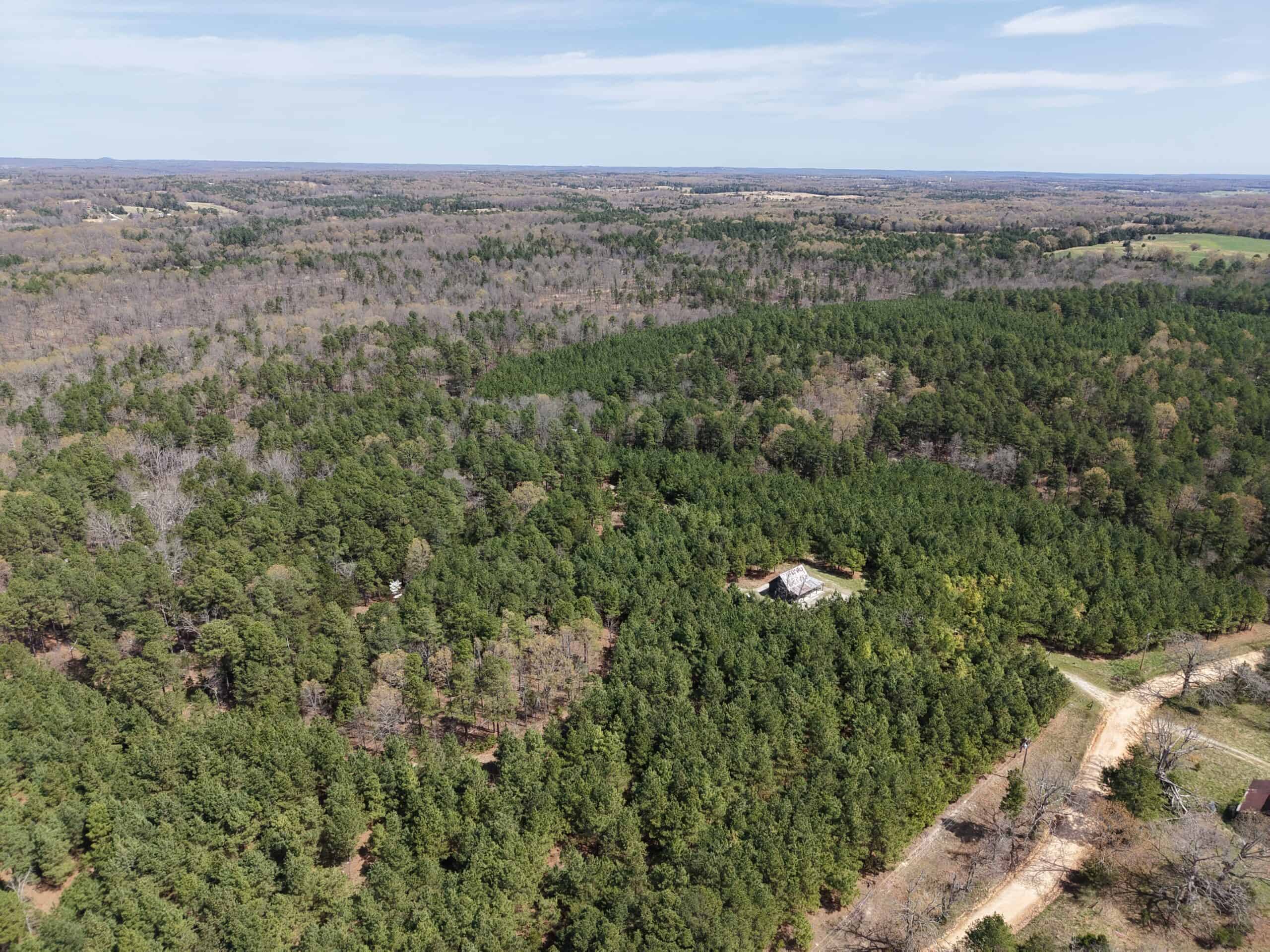 LAND WITH MULTIPLE HOMES FOR SALE IN ARKANSAS