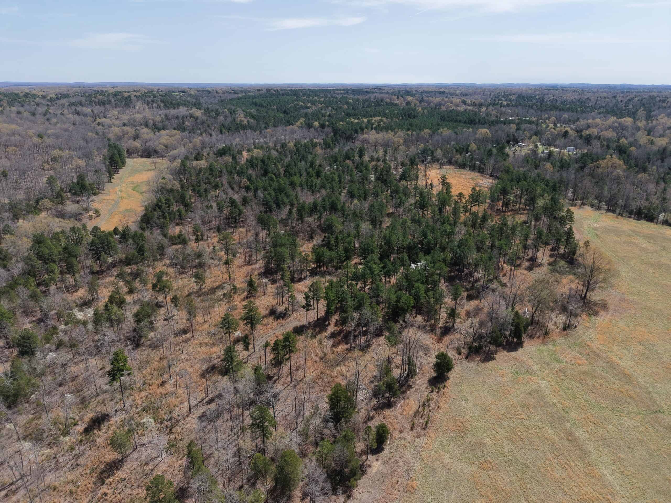 LAND WITH MULTIPLE HOMES FOR SALE IN ARKANSAS