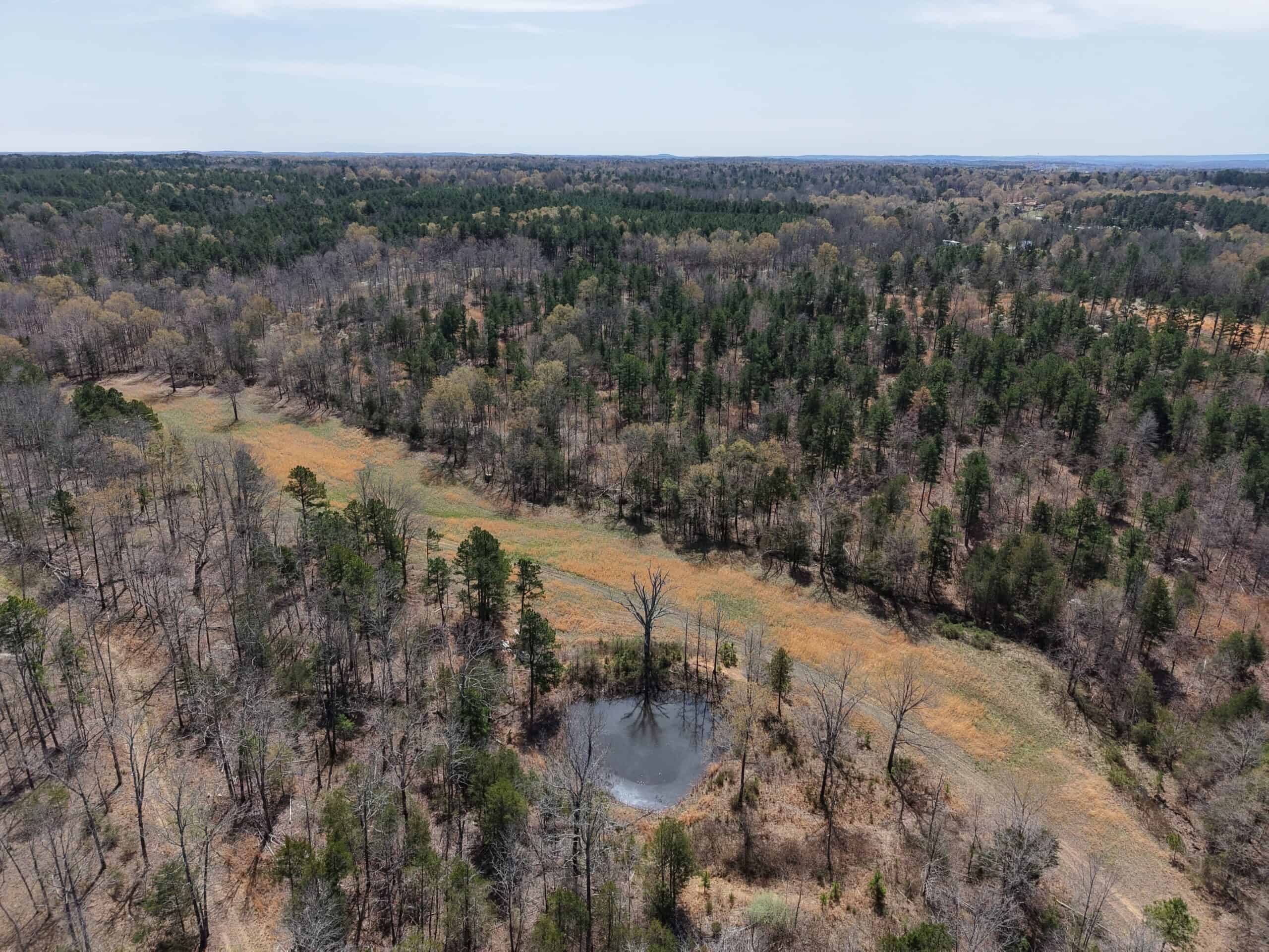 LAND WITH MULTIPLE HOMES FOR SALE IN ARKANSAS