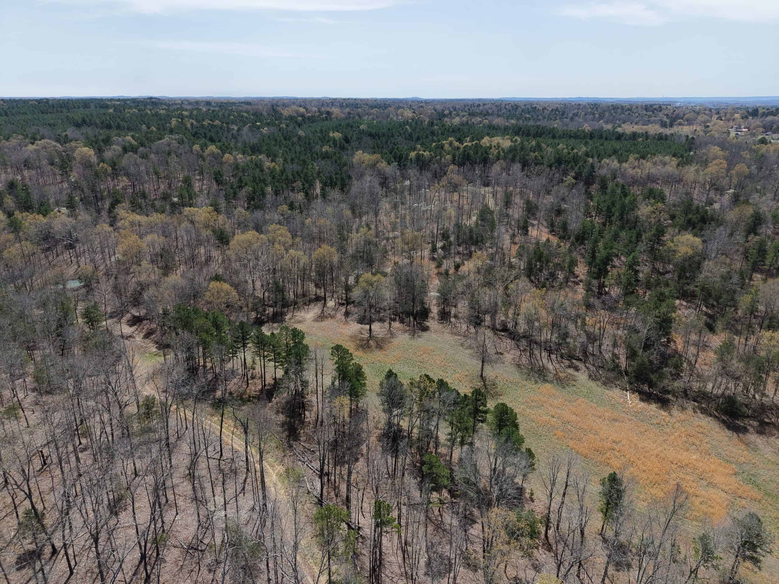 LAND WITH CABIN FOR SALE IN ARKANSAS