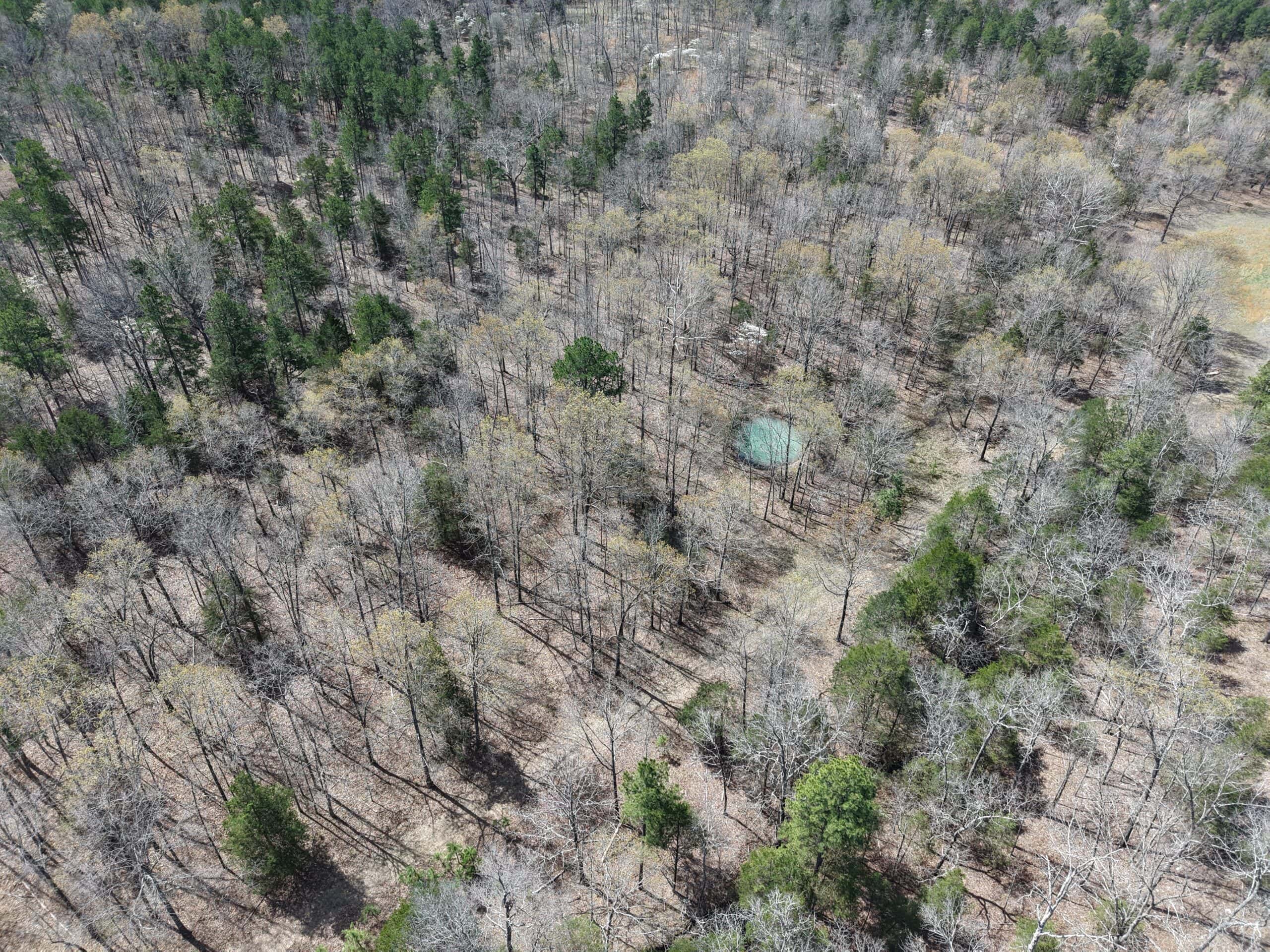 LAND WITH MULTIPLE HOMES FOR SALE IN ARKANSAS