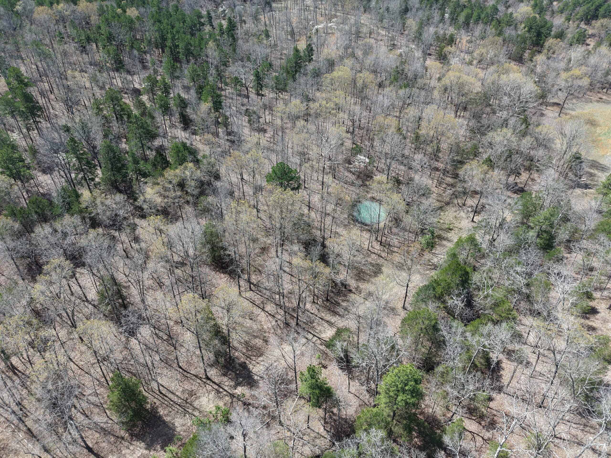 LAND WITH CABIN FOR SALE IN ARKANSAS