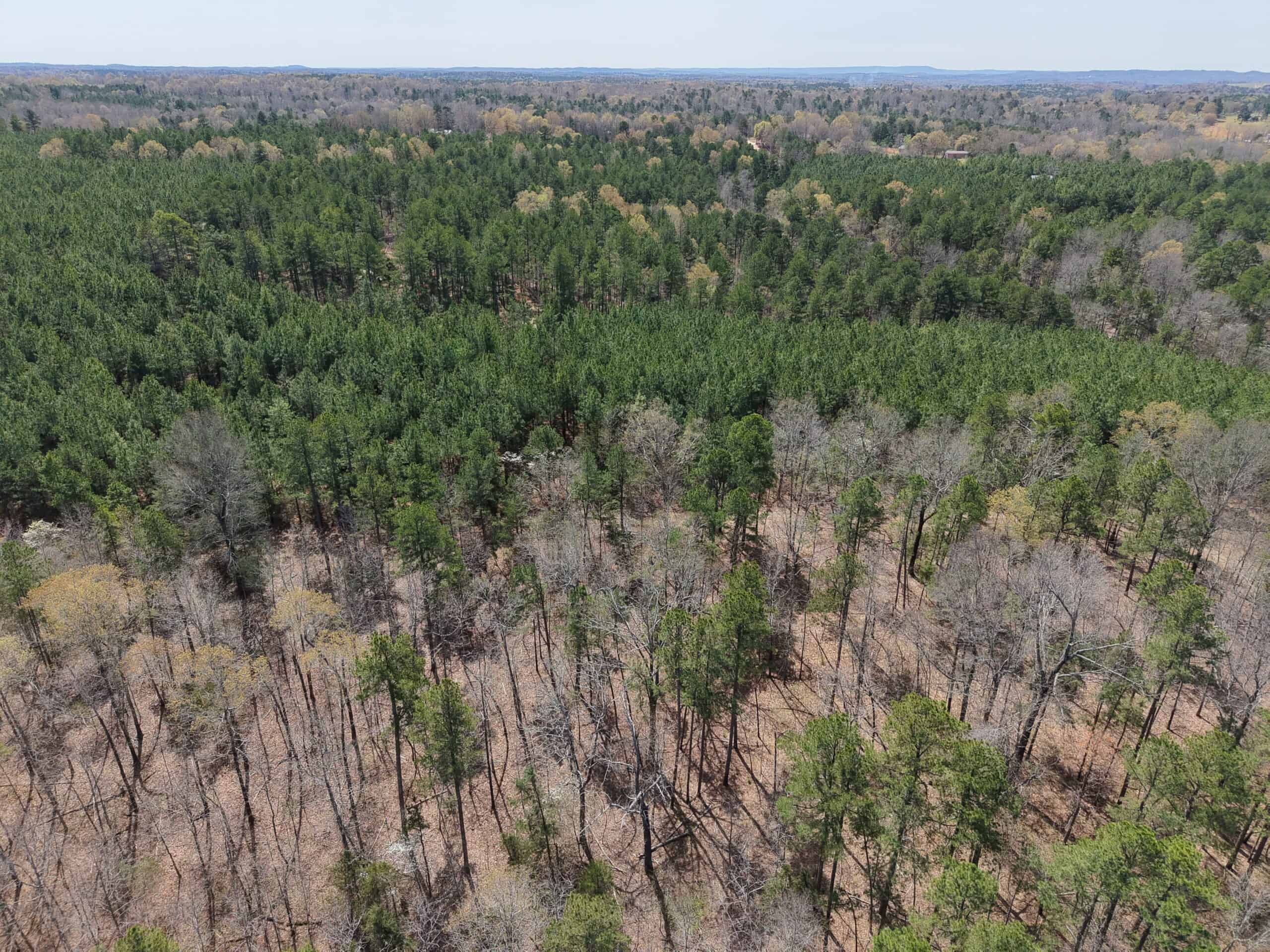 LAND WITH MULTIPLE HOMES FOR SALE IN ARKANSAS