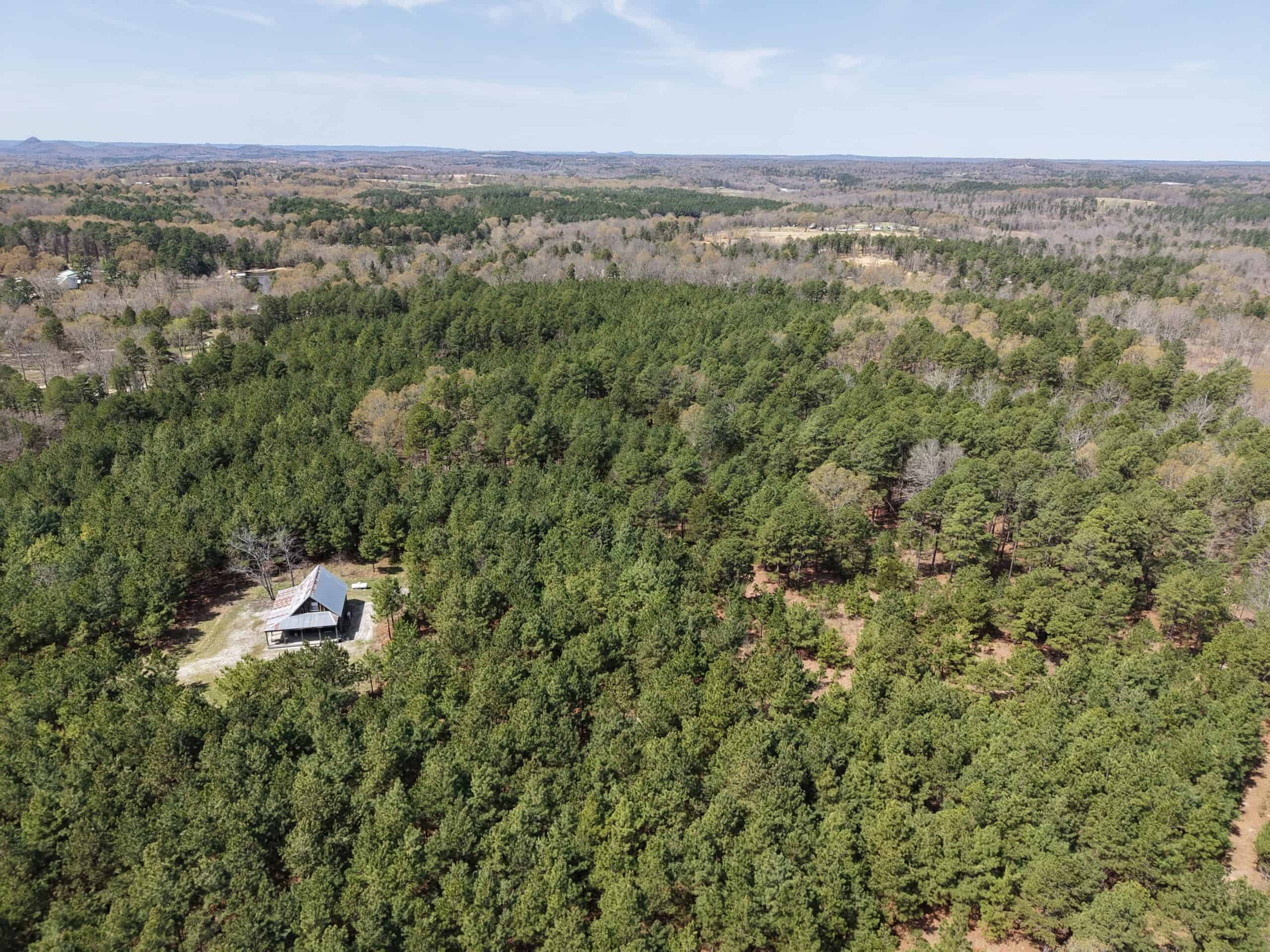 LAND WITH CABIN FOR SALE IN ARKANSAS