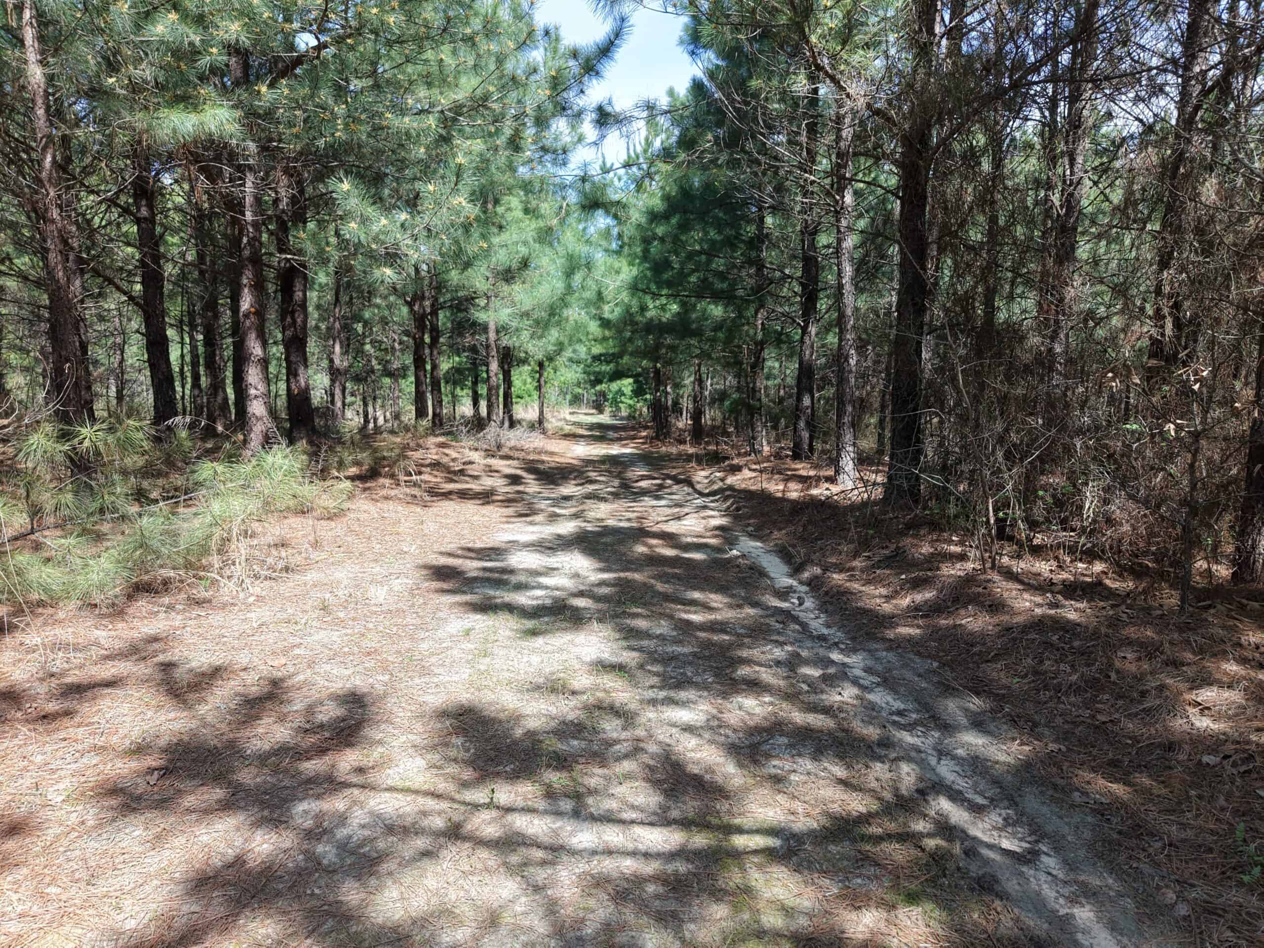 LAND WITH MULTIPLE HOMES FOR SALE IN ARKANSAS