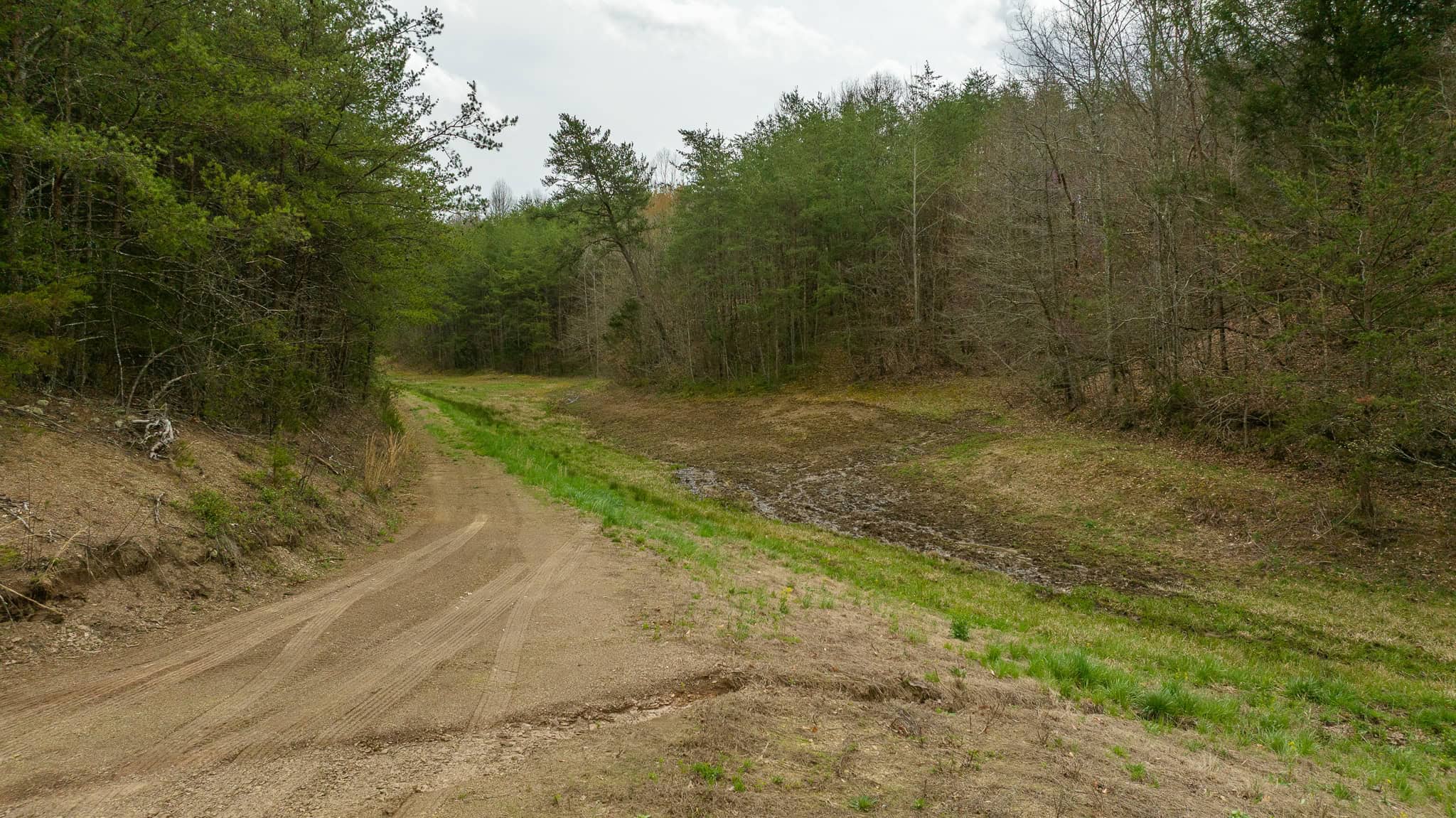 East Tennessee Retreat Hancock County Sneedville Country Home and Acreage for Sale  8651 Tazewell Hwy, Sneedville, Tennessee, 37869