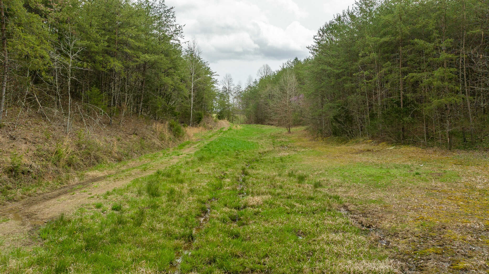 East Tennessee Retreat Hancock County Sneedville Country Home and Acreage for Sale  8651 Tazewell Hwy, Sneedville, Tennessee, 37869
