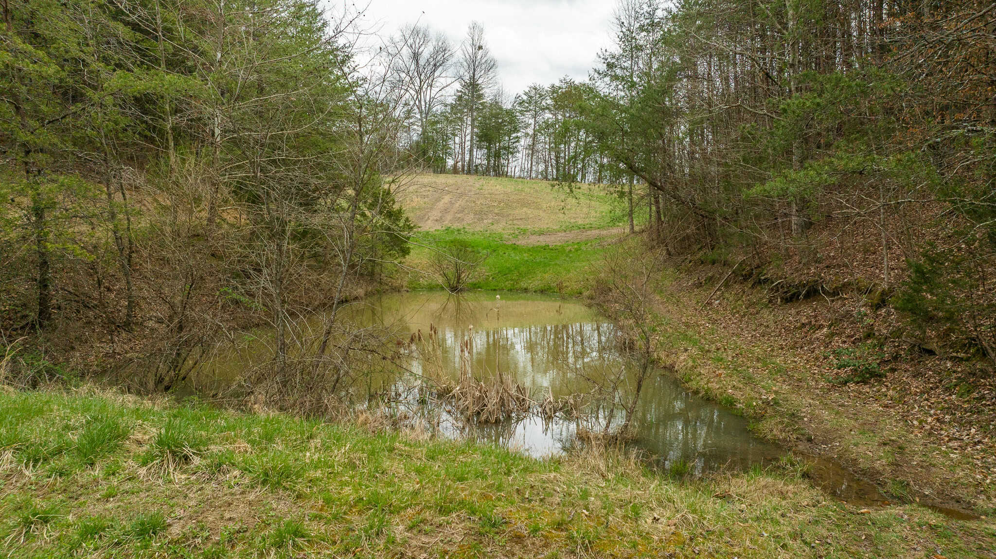 East Tennessee Retreat Hancock County Sneedville Country Home and Acreage for Sale  8651 Tazewell Hwy, Sneedville, Tennessee, 37869