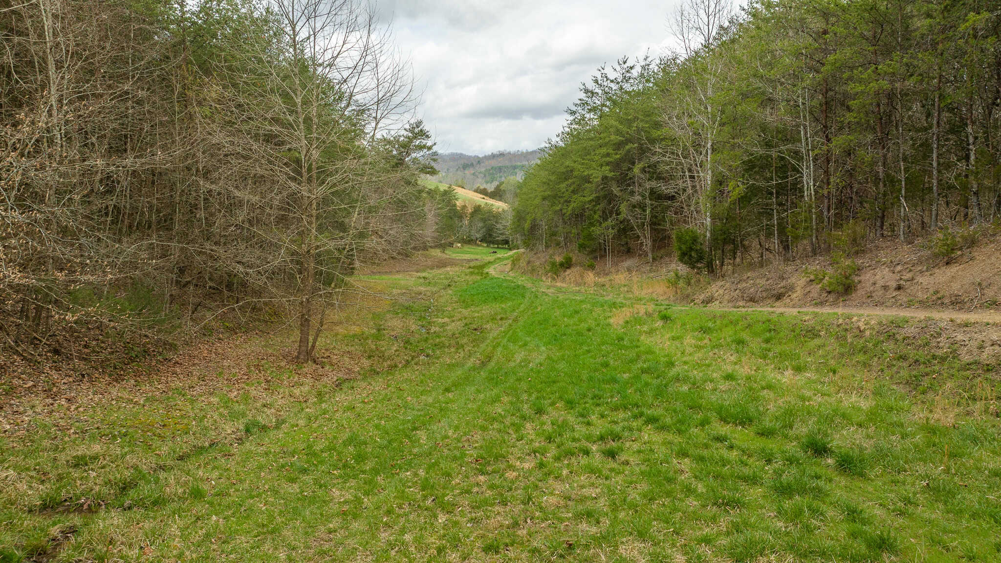 East Tennessee Retreat Hancock County Sneedville Country Home and Acreage for Sale  8651 Tazewell Hwy, Sneedville, Tennessee, 37869