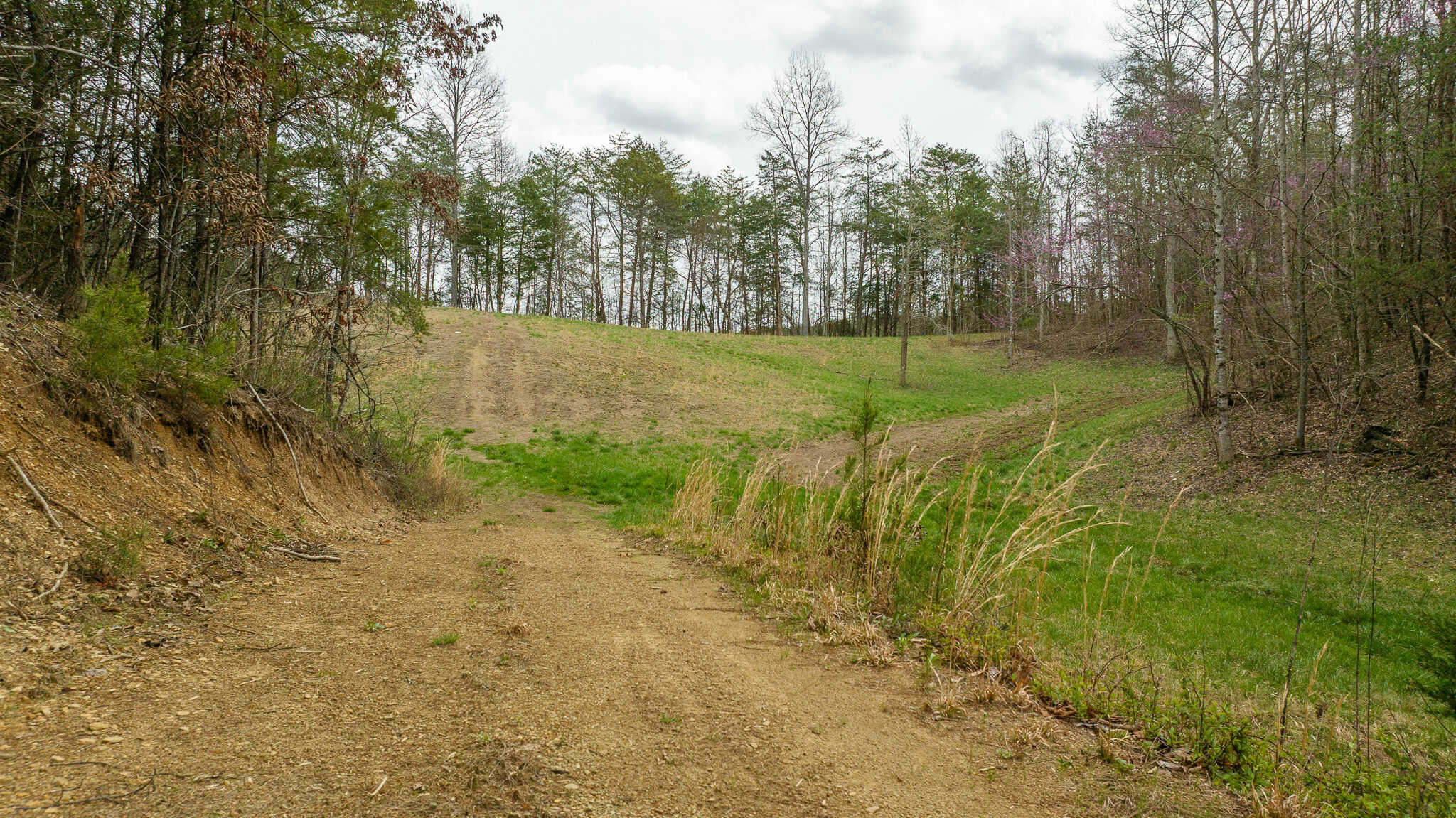 East Tennessee Retreat Hancock County Sneedville Country Home and Acreage for Sale  8651 Tazewell Hwy, Sneedville, Tennessee, 37869