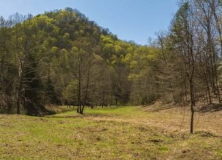 Farmhouse, Fields, and Freedom – Own It All at Auction East Tennessee