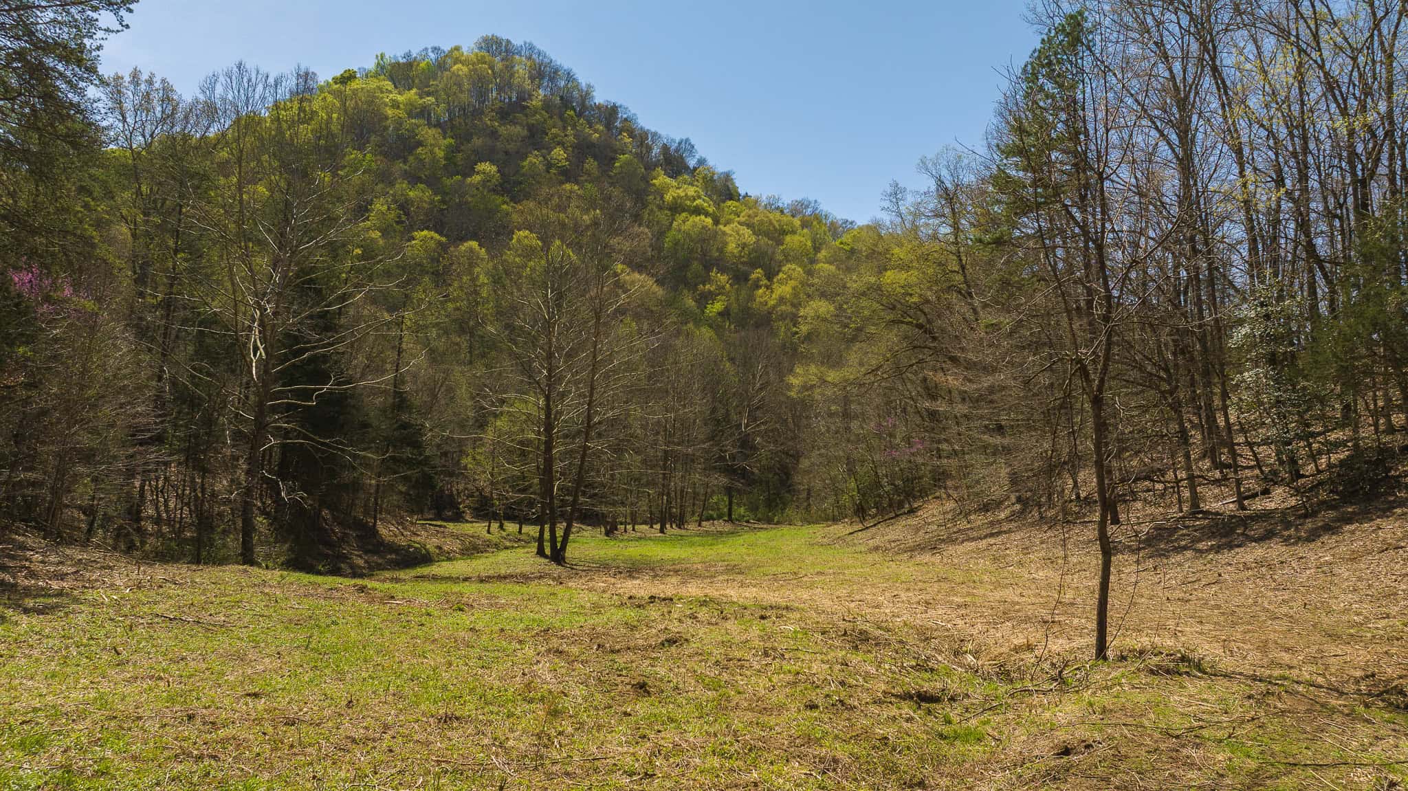 Farmhouse, Fields, and Freedom – Own It All at Auction East Tennessee