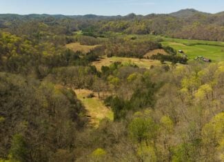 Farmhouse, Fields, and Freedom – Own It All at Auction East Tennessee