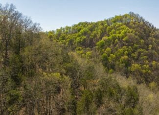 Farmhouse, Fields, and Freedom – Own It All at Auction East Tennessee