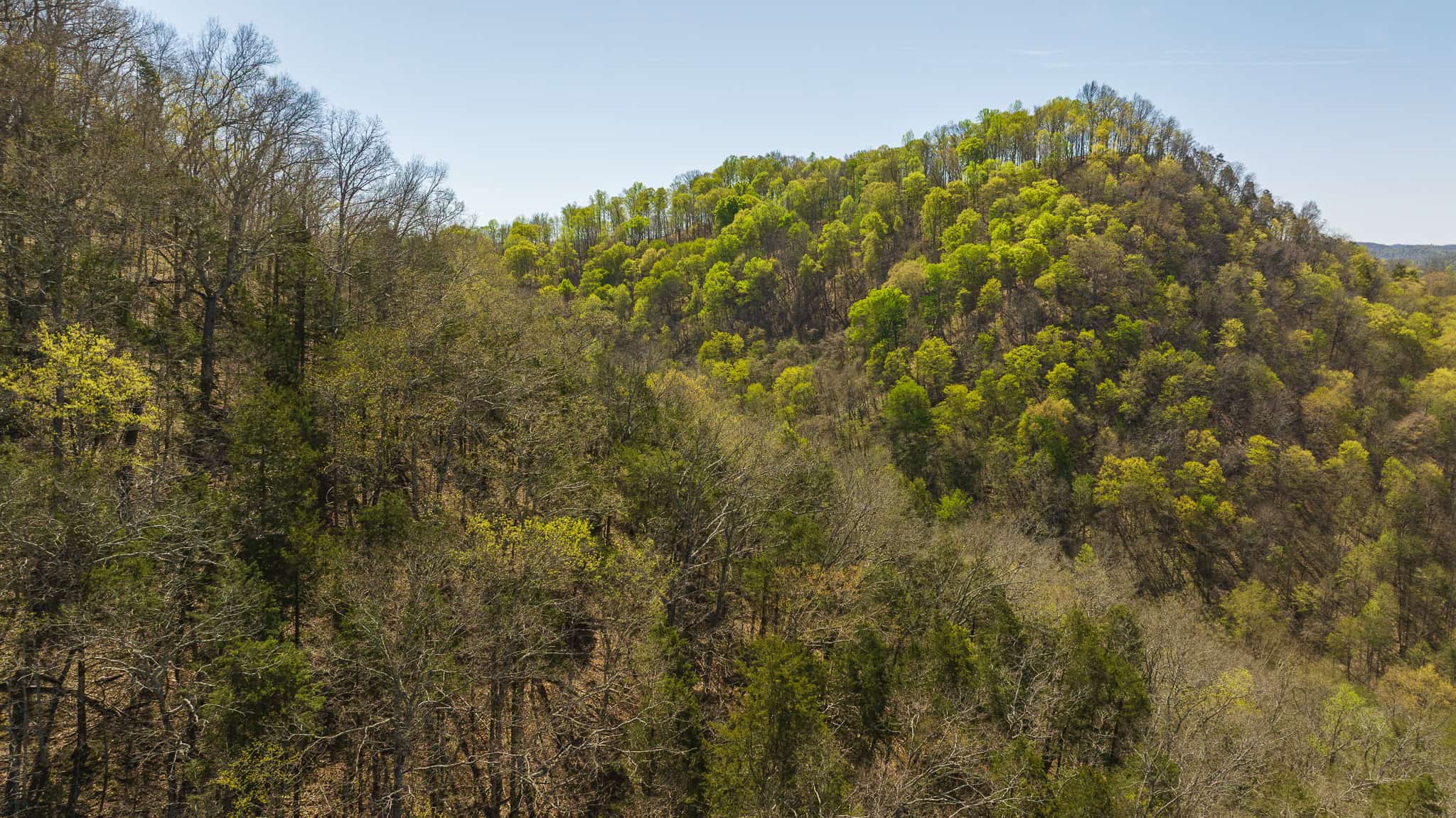 Farmhouse, Fields, and Freedom – Own It All at Auction East Tennessee