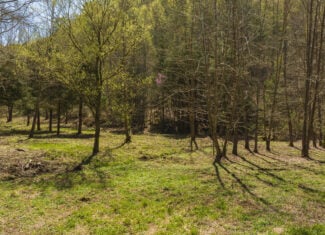 Farmhouse, Fields, and Freedom – Own It All at Auction East Tennessee