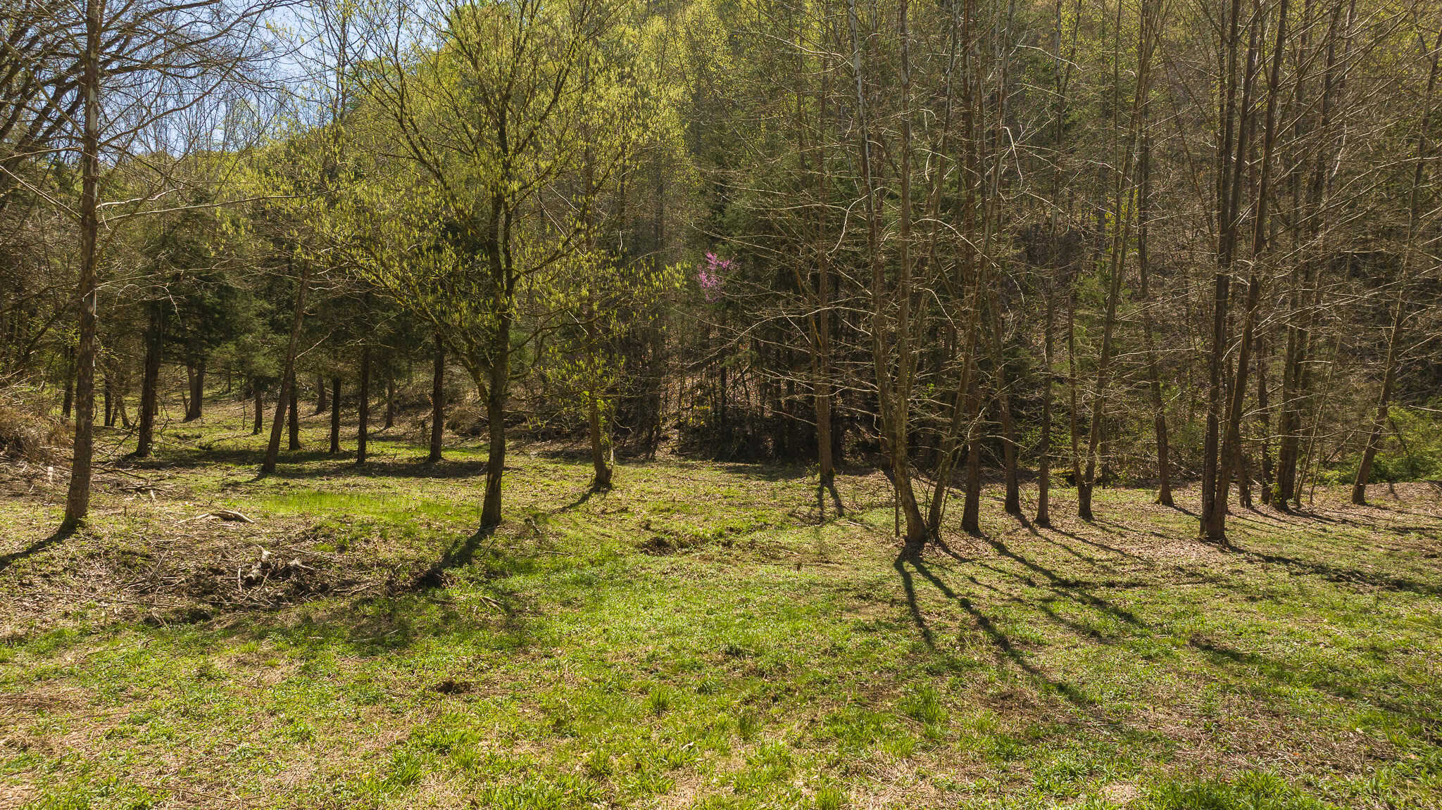 Farmhouse, Fields, and Freedom – Own It All at Auction East Tennessee