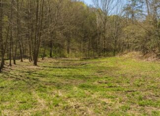 Farmhouse, Fields, and Freedom – Own It All at Auction East Tennessee