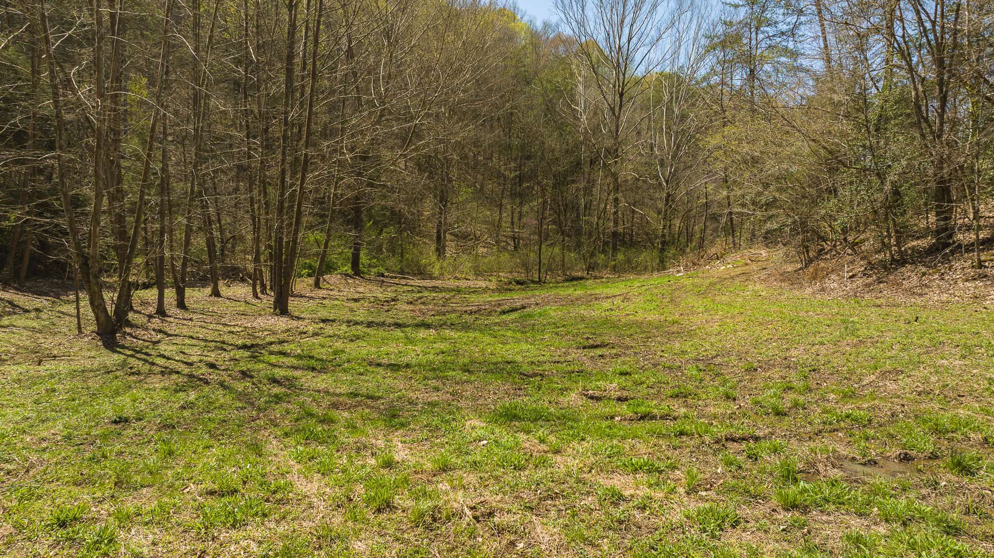 Farmhouse, Fields, and Freedom – Own It All at Auction East Tennessee