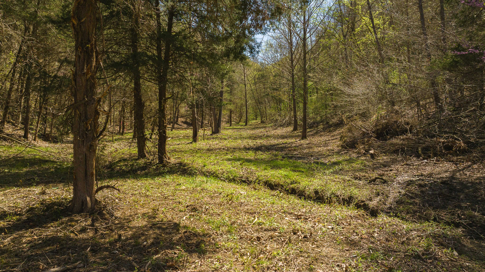 Farmhouse, Fields, and Freedom – Own It All at Auction East Tennessee