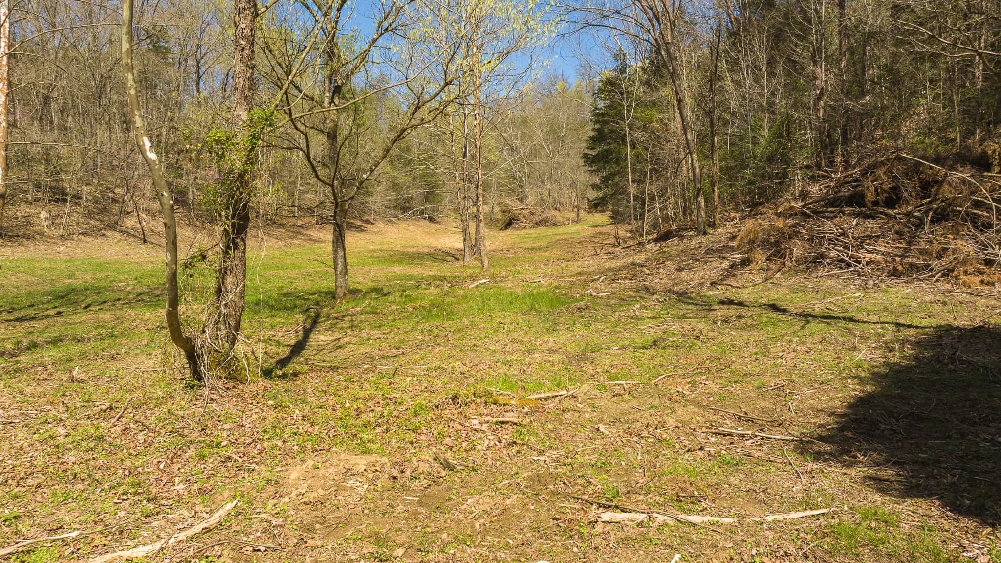 Farmhouse, Fields, and Freedom – Own It All at Auction East Tennessee