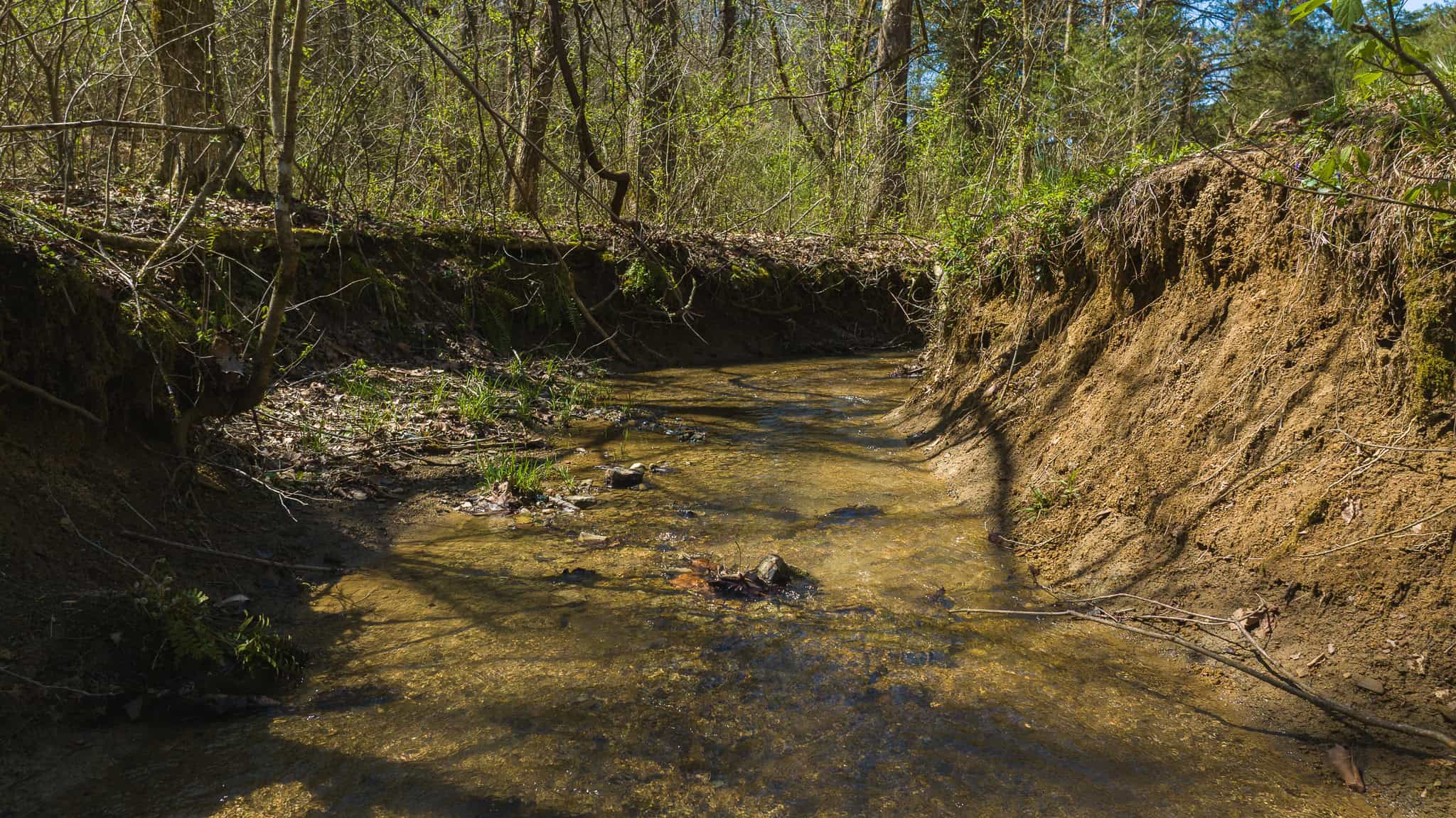 Farmhouse, Fields, and Freedom – Own It All at Auction East Tennessee