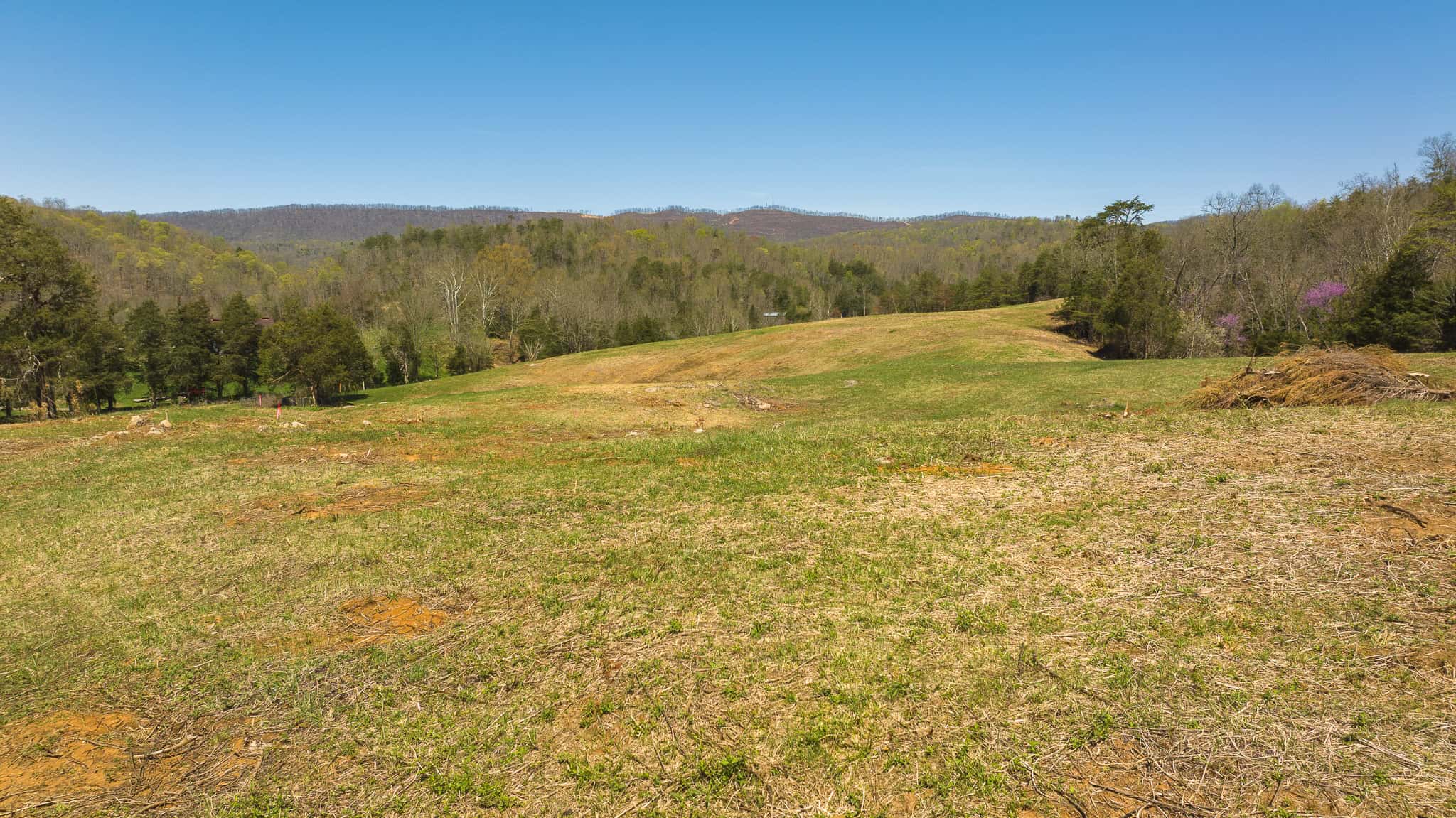 Farmhouse, Fields, and Freedom – Own It All at Auction East Tennessee