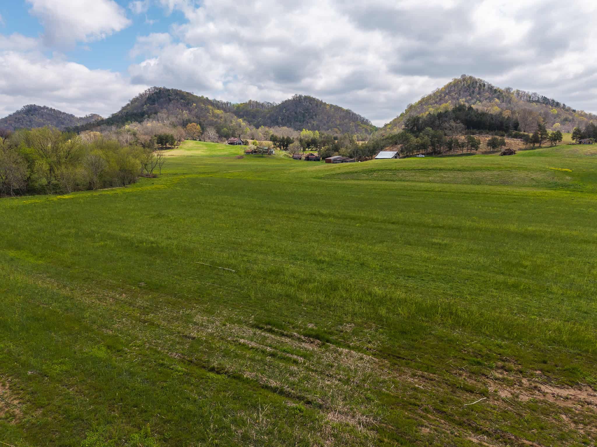 Farmhouse, Fields, and Freedom – Own It All at Auction East Tennessee