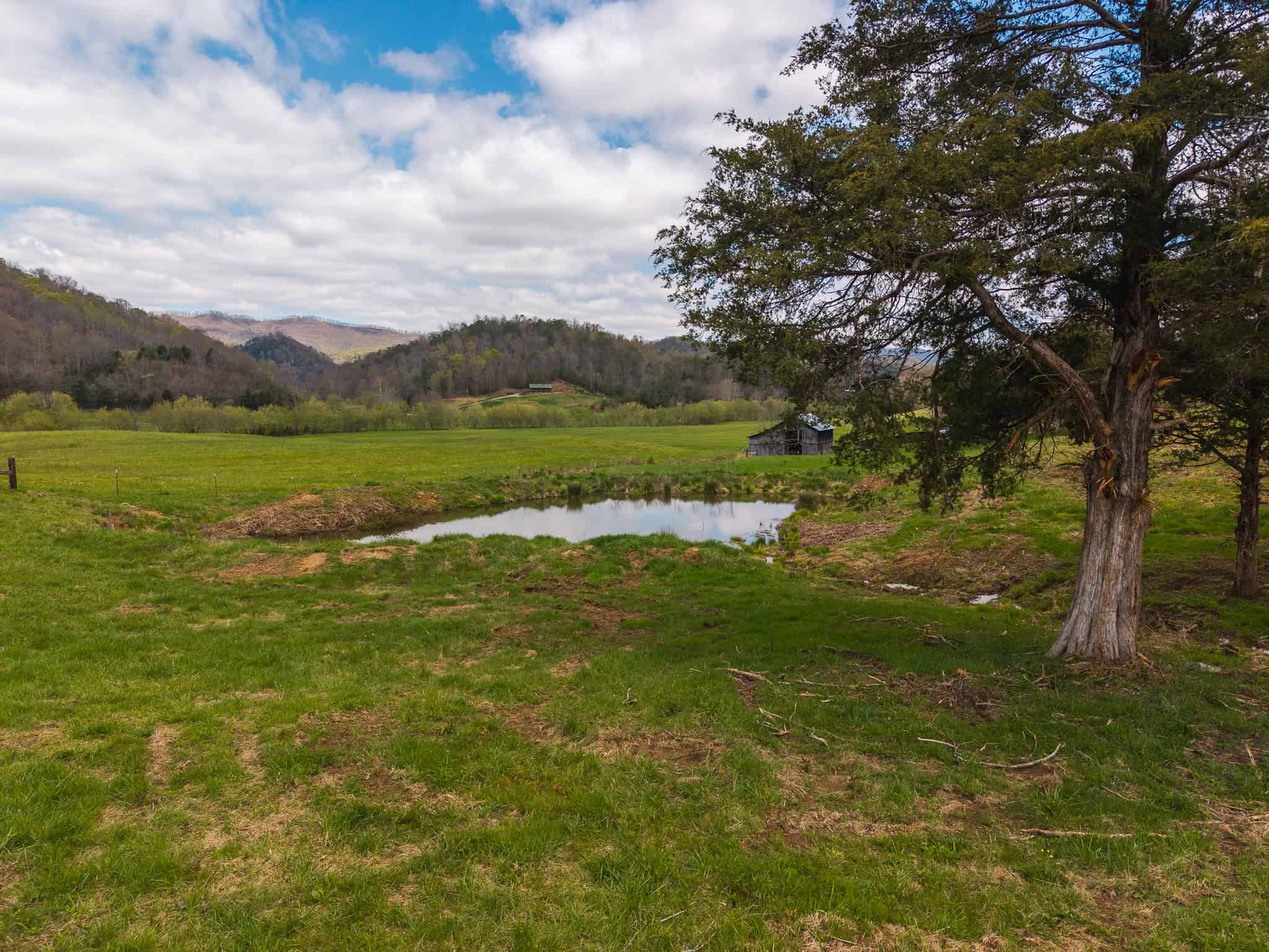 Farmhouse, Fields, and Freedom – Own It All at Auction East Tennessee