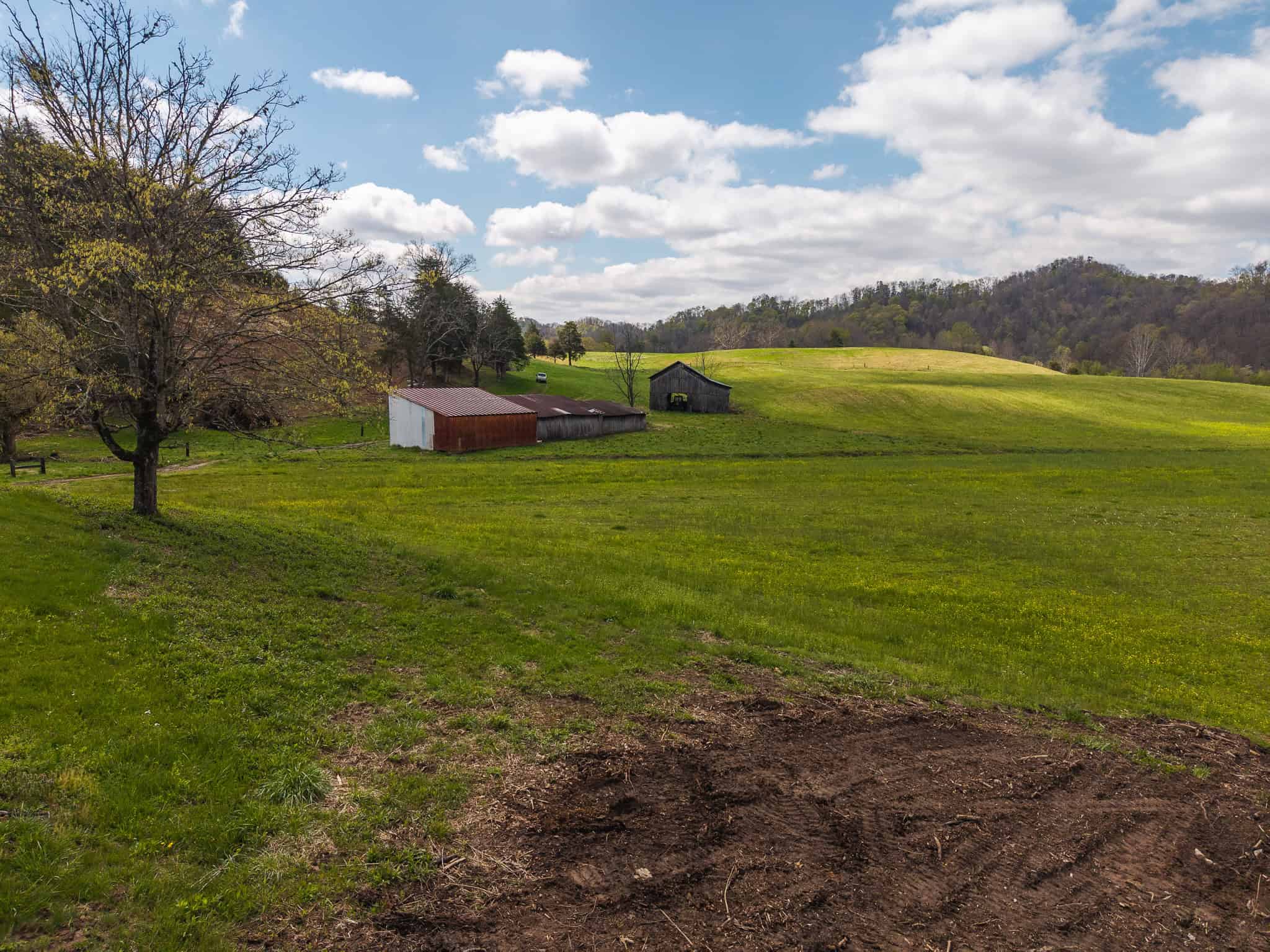 Farmhouse, Fields, and Freedom – Own It All at Auction East Tennessee