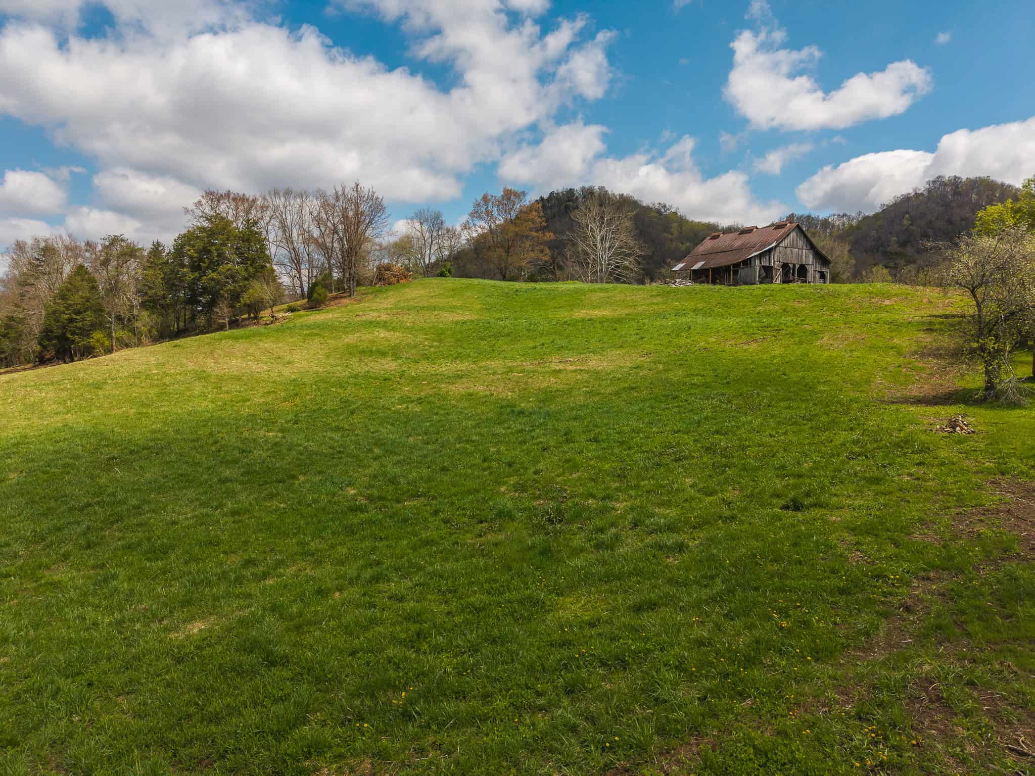 Farmhouse, Fields, and Freedom – Own It All at Auction East Tennessee