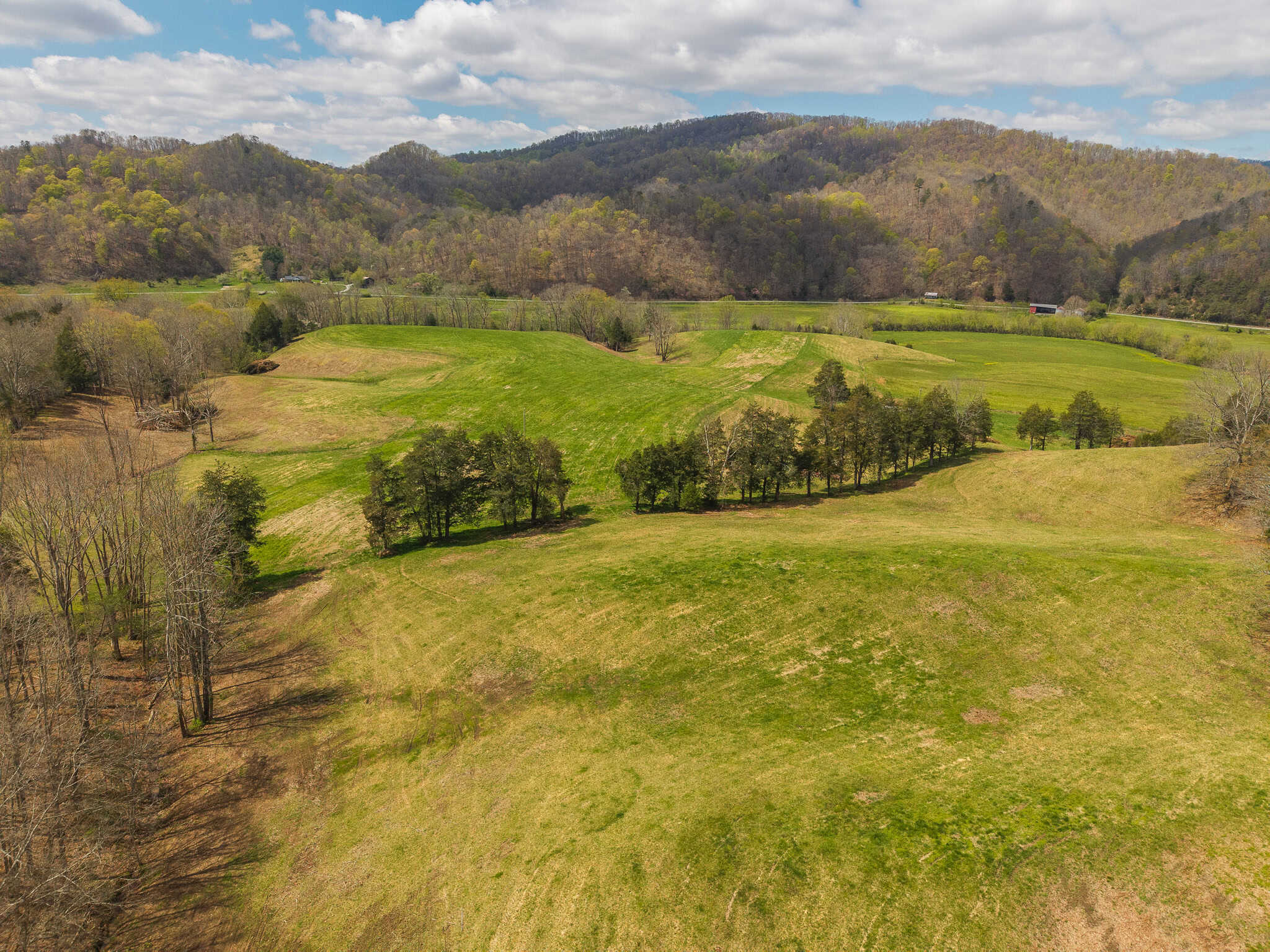 Farmhouse, Fields, and Freedom – Own It All at Auction East Tennessee