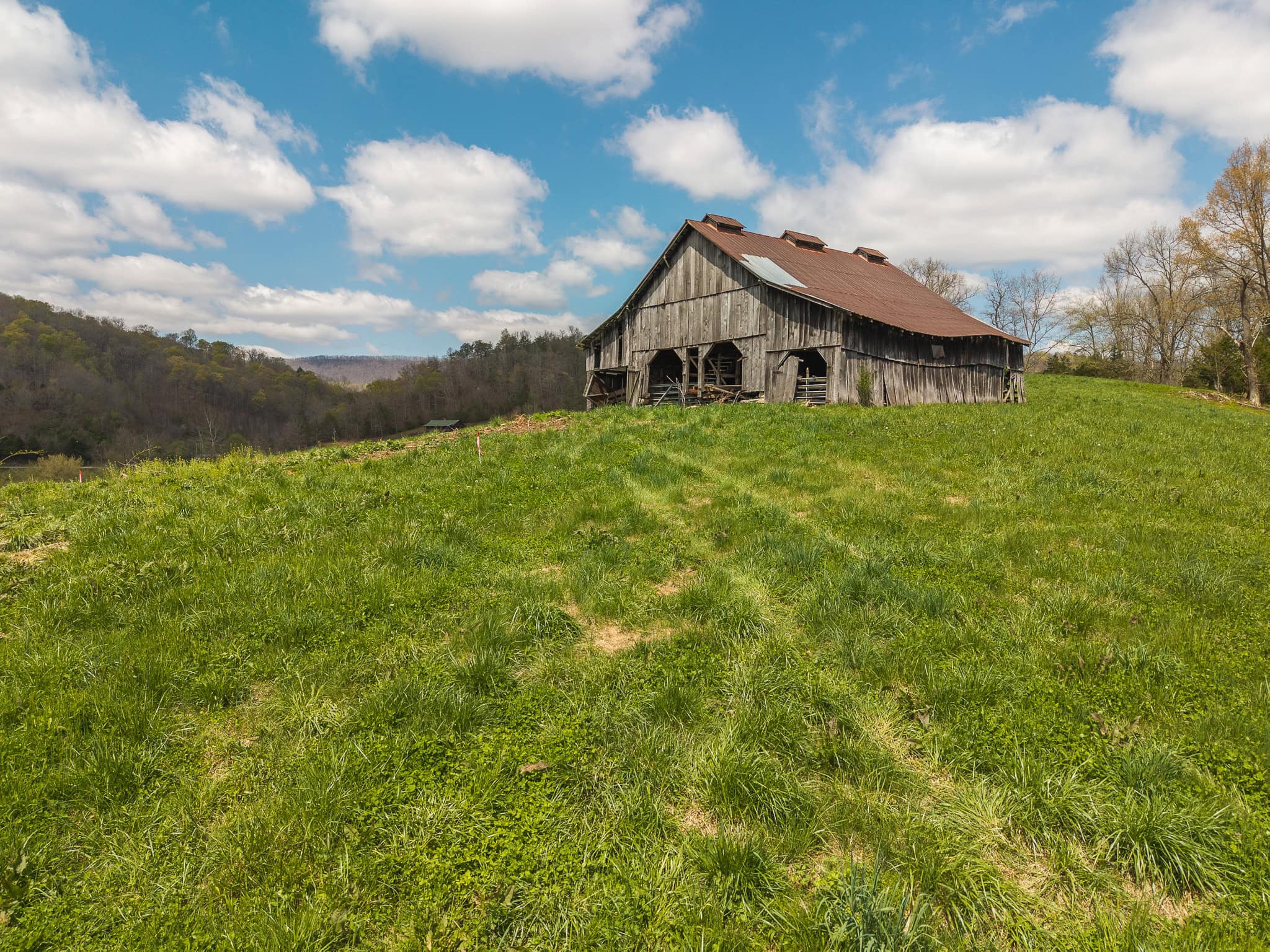 Farmhouse, Fields, and Freedom – Own It All at Auction East Tennessee