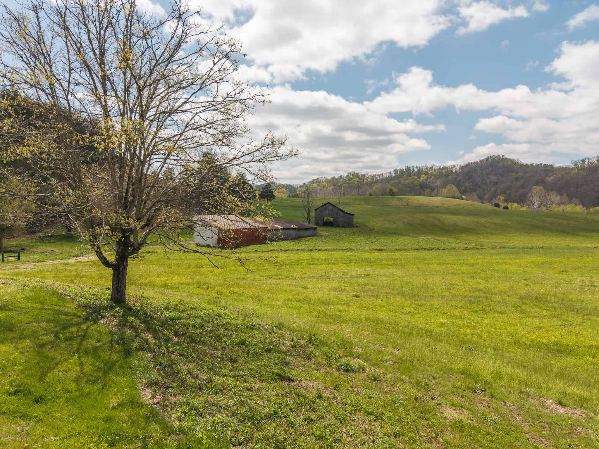 Farmhouse, Fields, and Freedom – Own It All at Auction East Tennessee