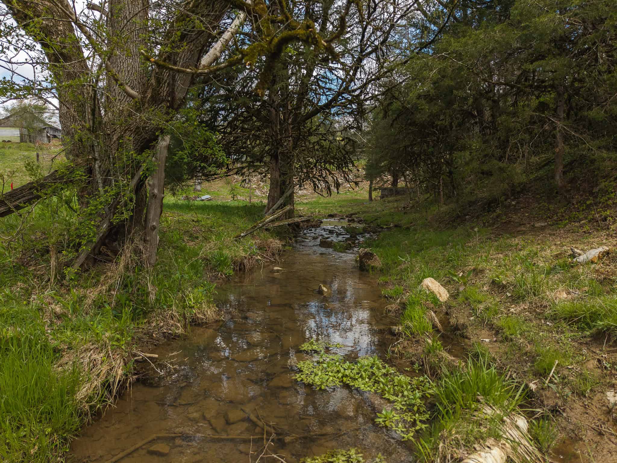 Farmhouse, Fields, and Freedom – Own It All at Auction East Tennessee