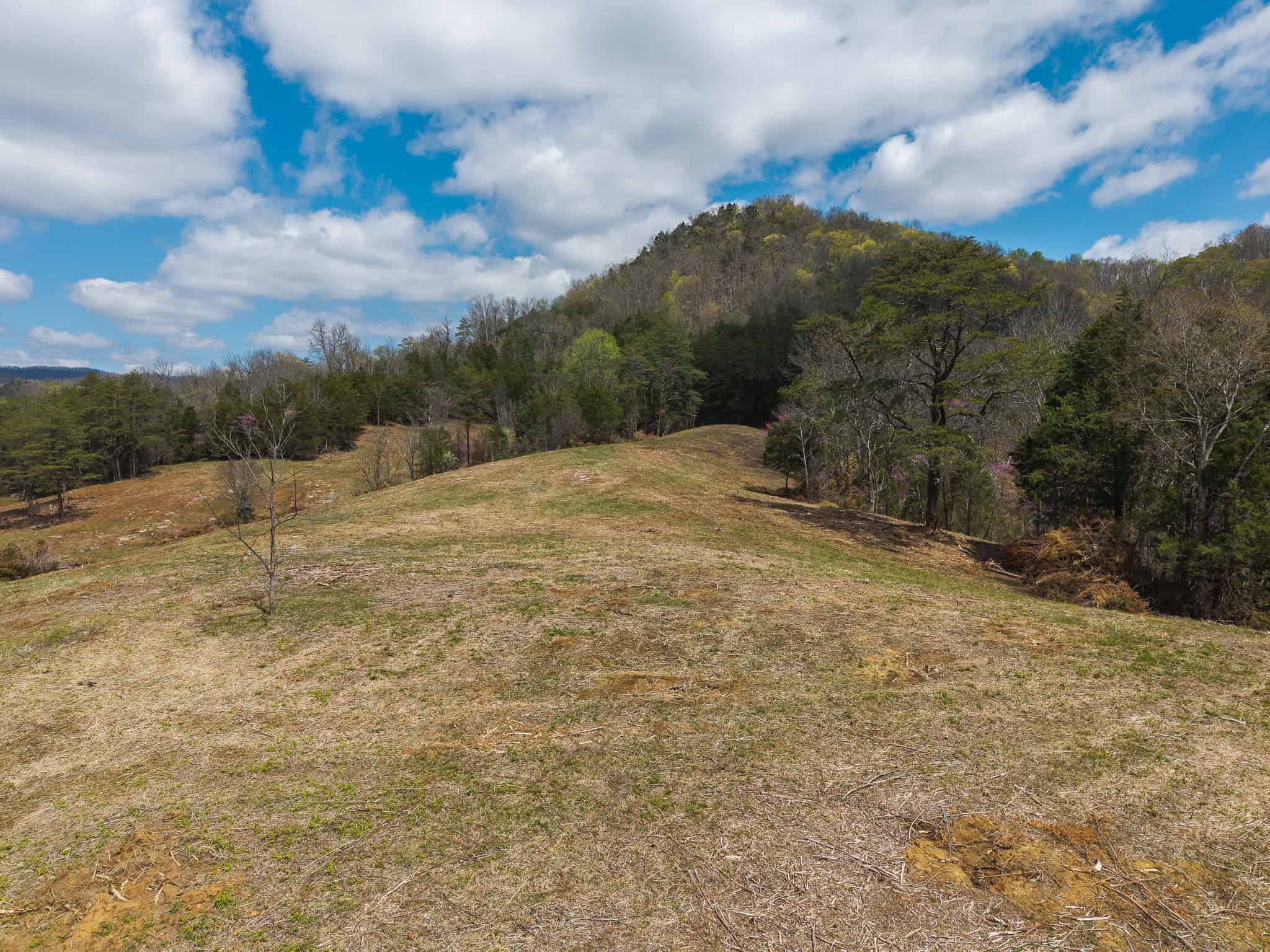 Farmhouse, Fields, and Freedom – Own It All at Auction East Tennessee