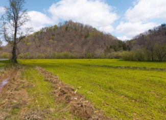 Timeless Tennessee Farm – 66 Acres at Absolute Auction with No Reserve