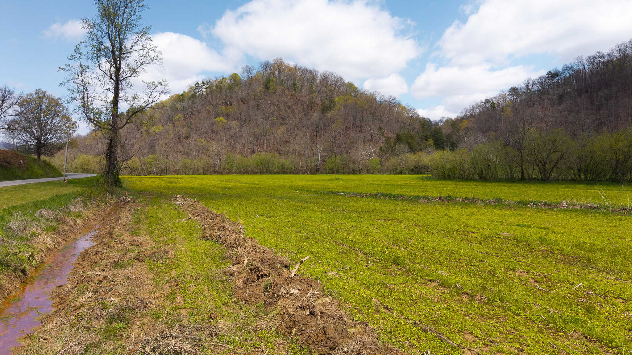 Timeless Tennessee Farm – 66 Acres at Absolute Auction with No Reserve
