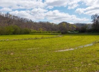 Timeless Tennessee Farm – 66 Acres at Absolute Auction with No Reserve