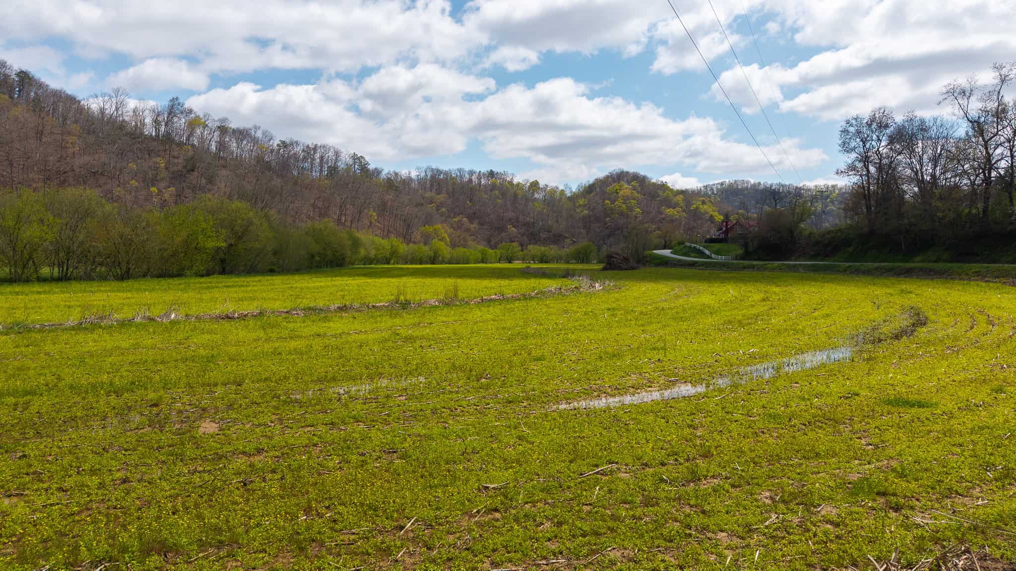 Timeless Tennessee Farm – 66 Acres at Absolute Auction with No Reserve
