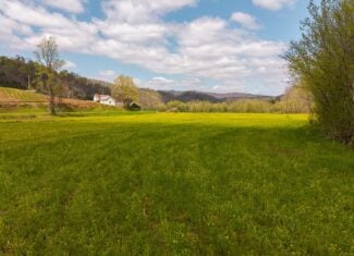 Timeless Tennessee Farm – 66 Acres at Absolute Auction with No Reserve