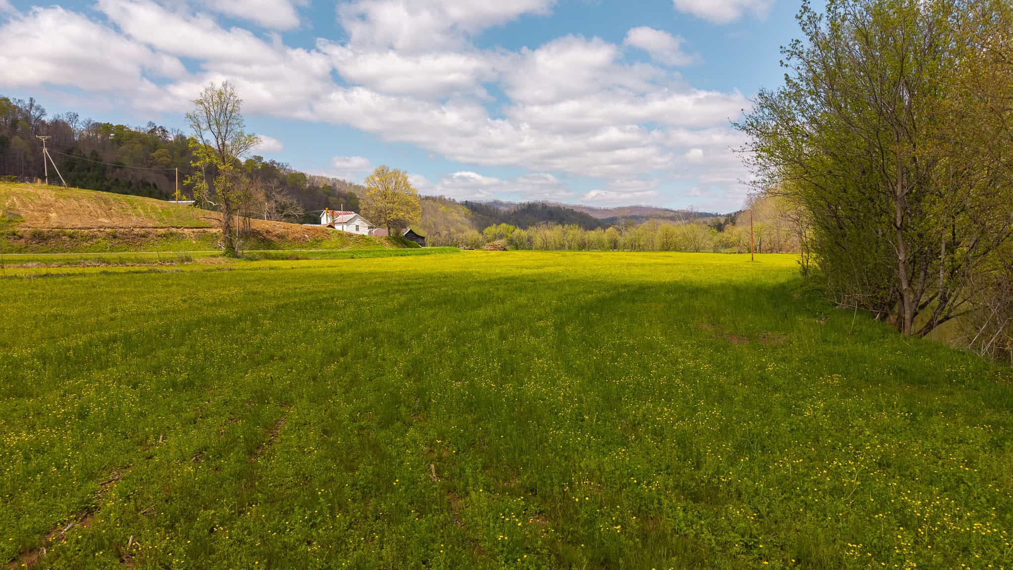 Timeless Tennessee Farm – 66 Acres at Absolute Auction with No Reserve