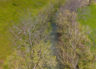 Timeless Tennessee Farm – 66 Acres at Absolute Auction with No Reserve