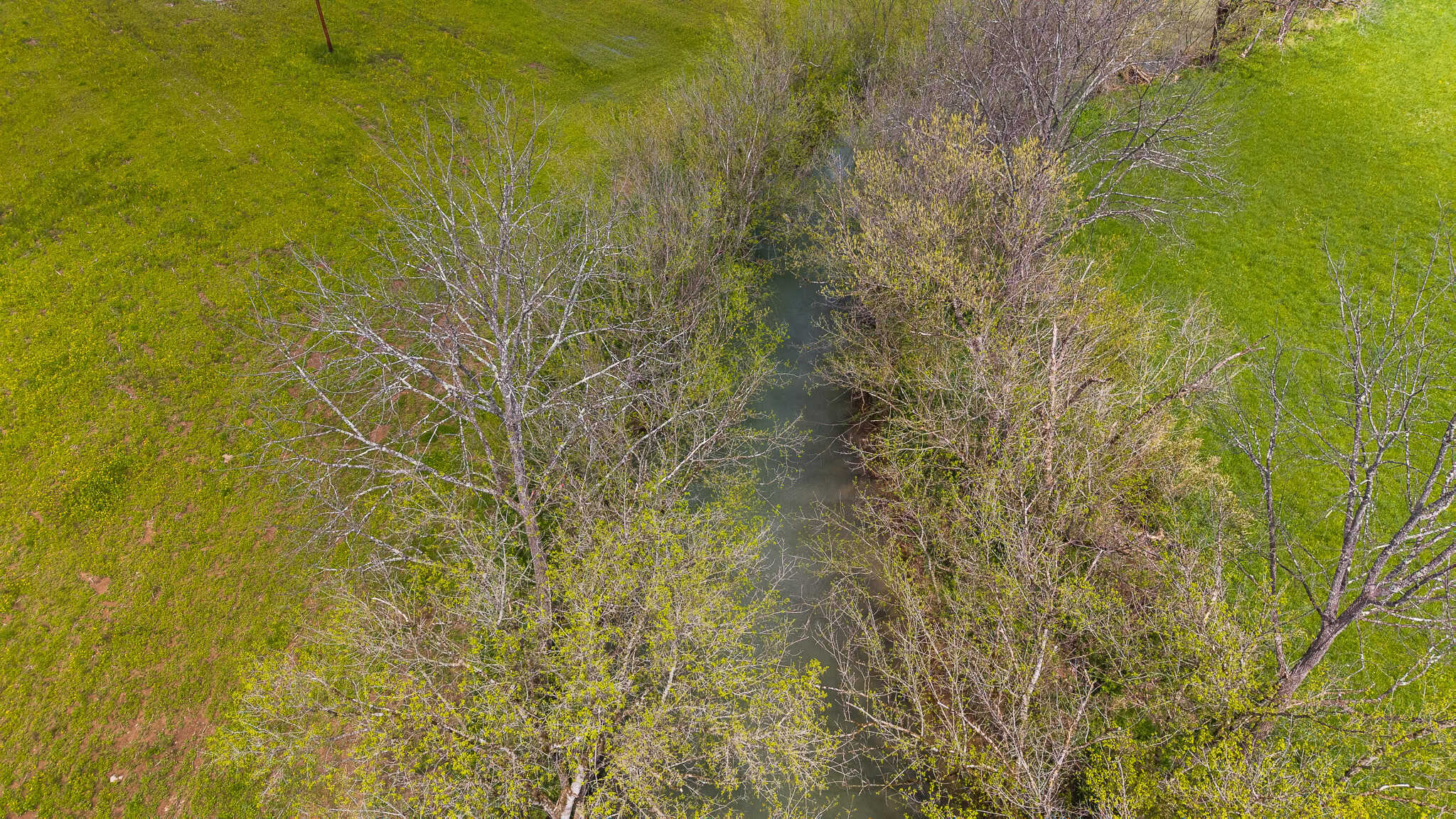 Timeless Tennessee Farm – 66 Acres at Absolute Auction with No Reserve